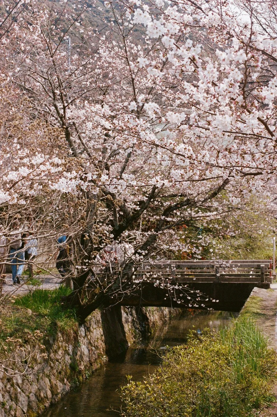Japan-23.jpg