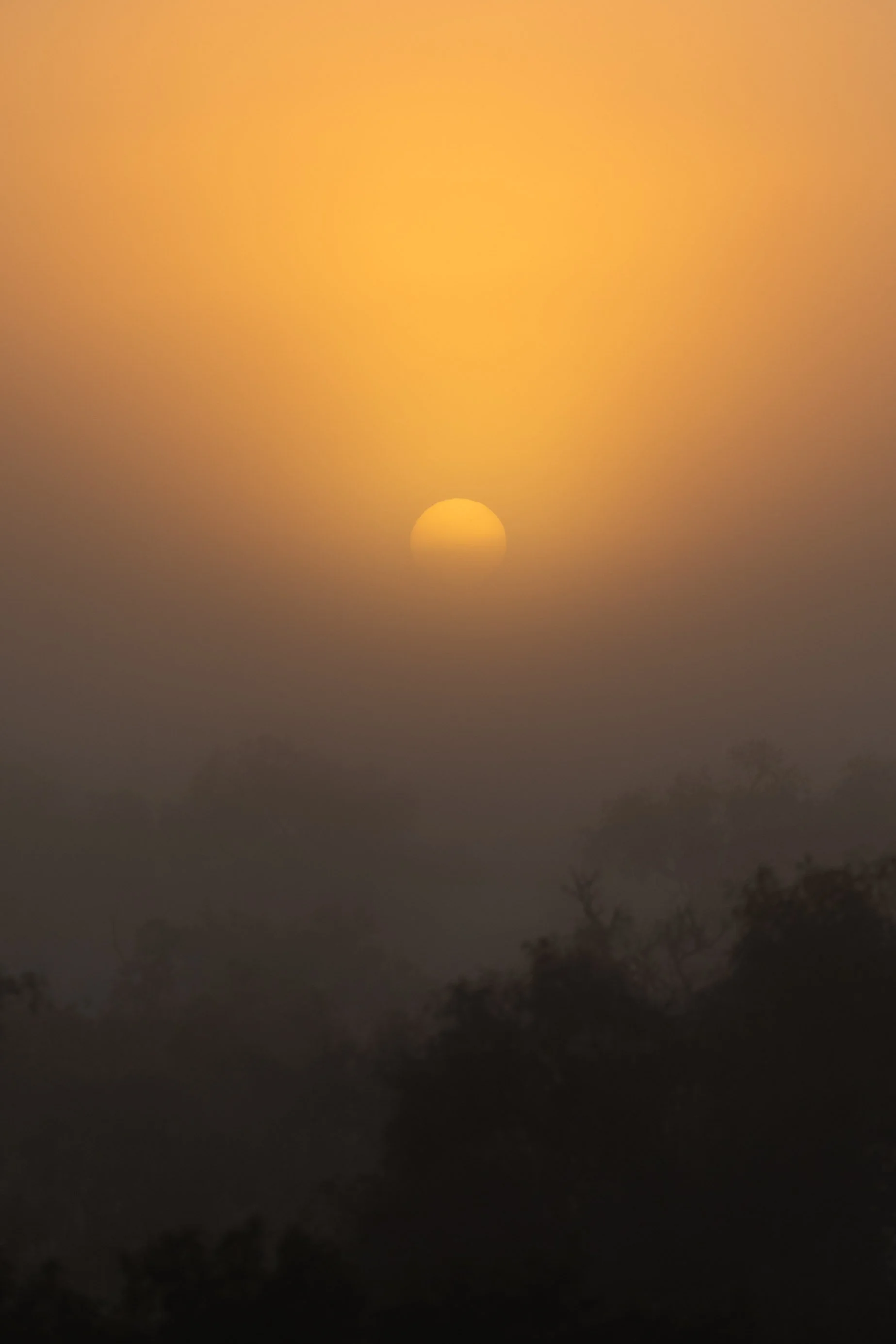 Western Australia-6.jpg