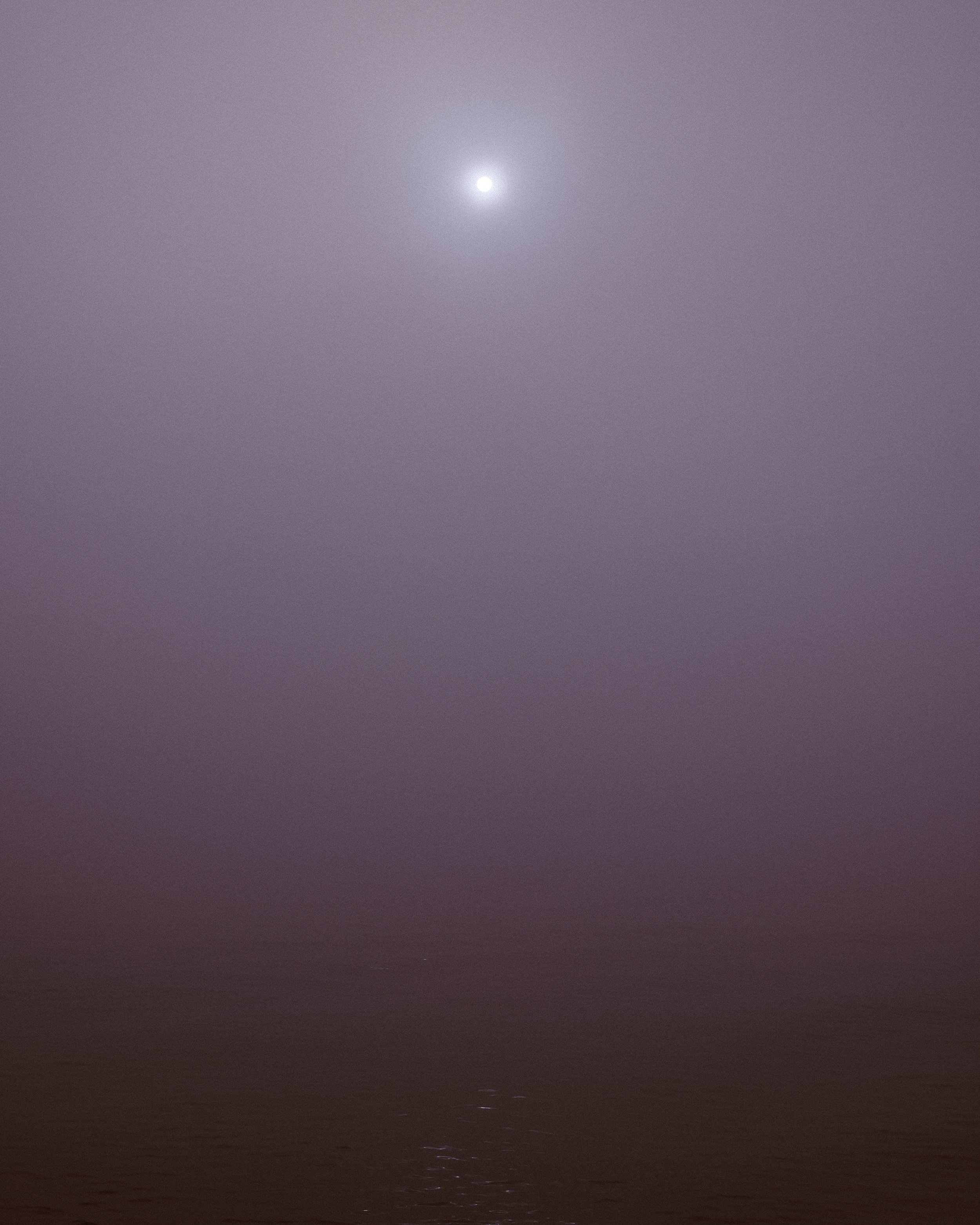 nebbi3 bassa ris sito.jpg