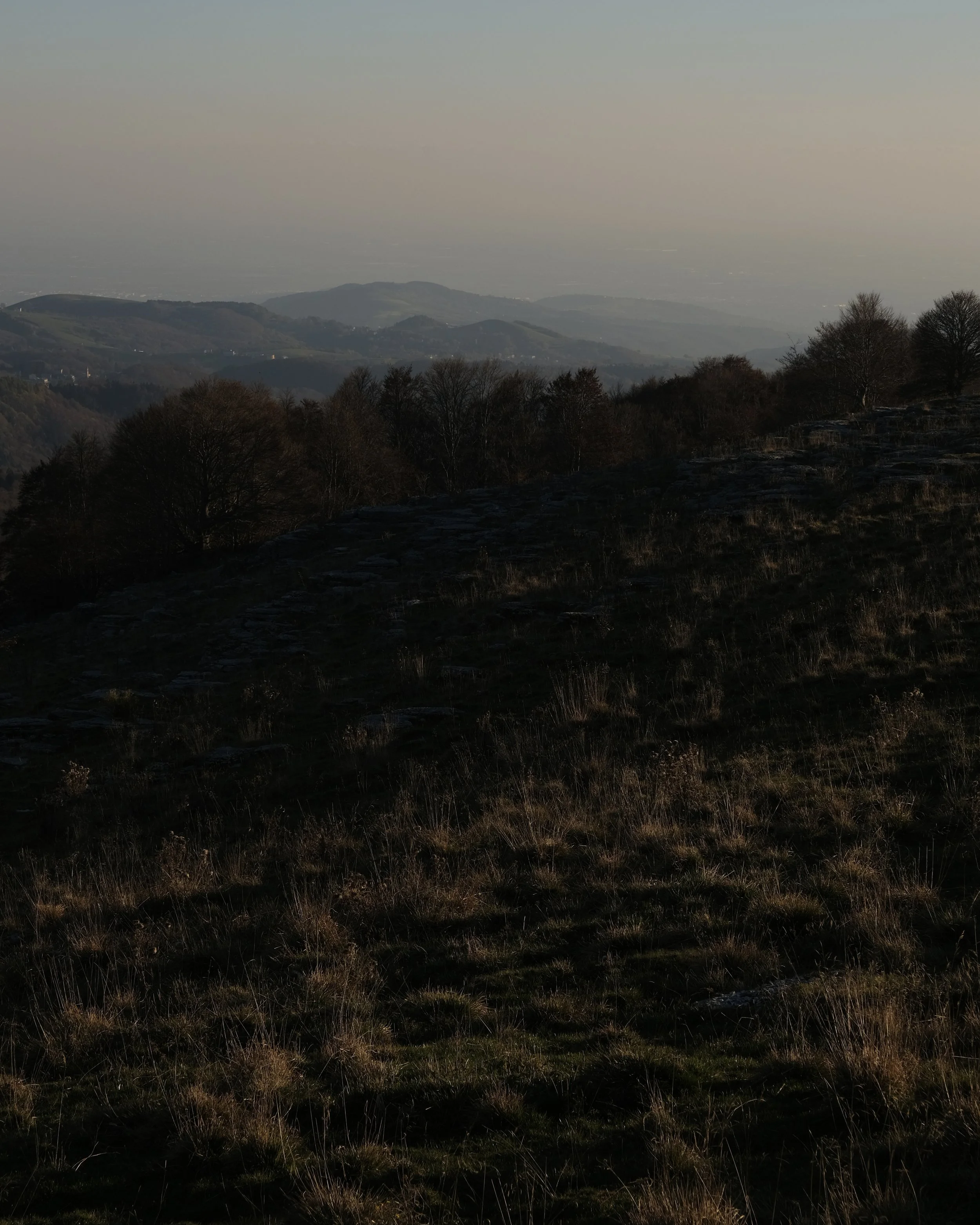 Paesaggio di colline e alberi al tramonto o all'alba con cielo nuvoloso.