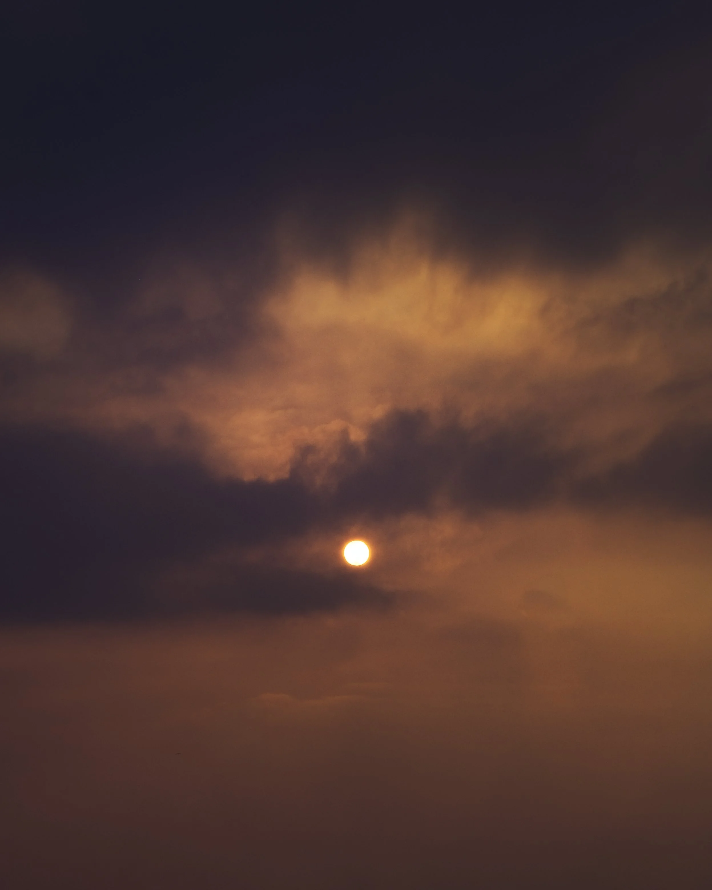 alba viola 2.jpg