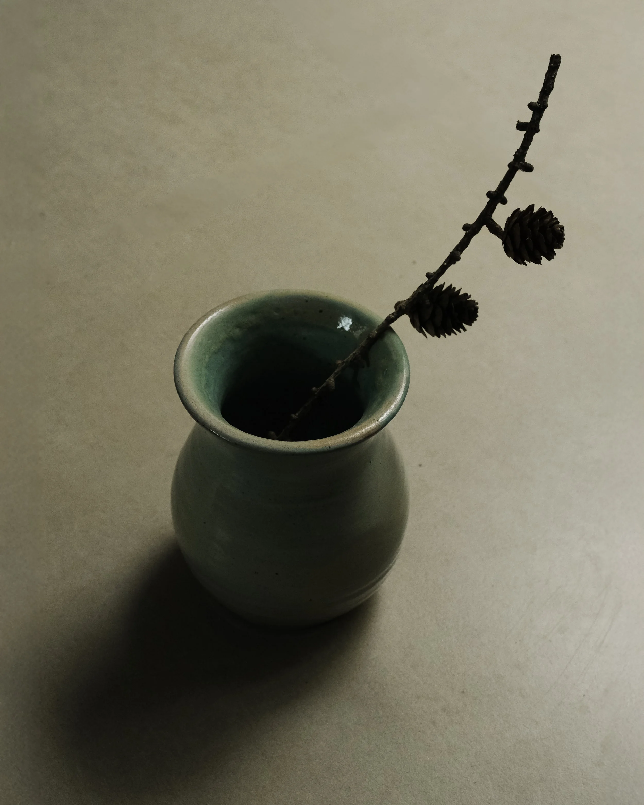 Vaso verde con fiore secco e pigne