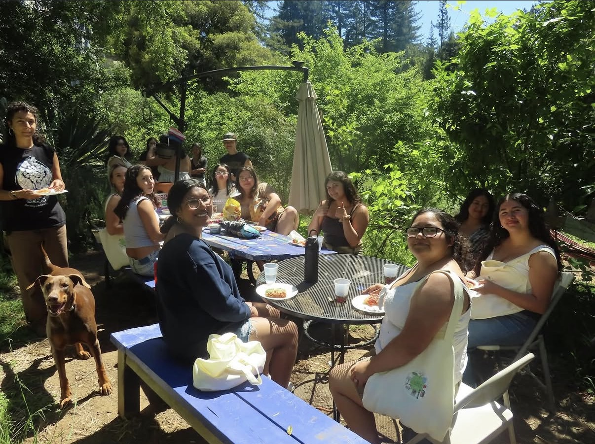Group of people having a gathering outdoors in a lush green garden, seated around a table with food and drinks, with some standing and a dog nearby.