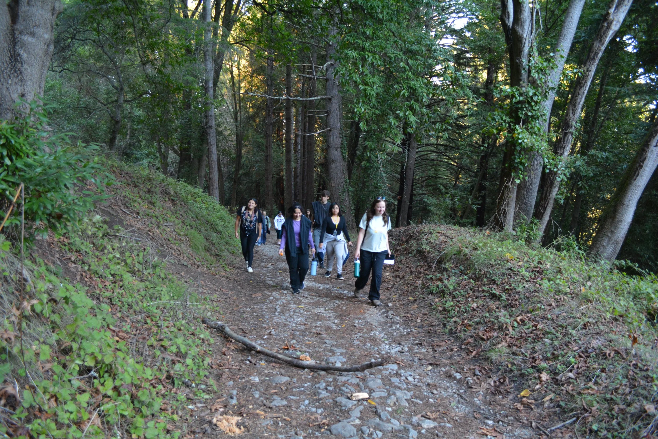 DSC_1013.JPG