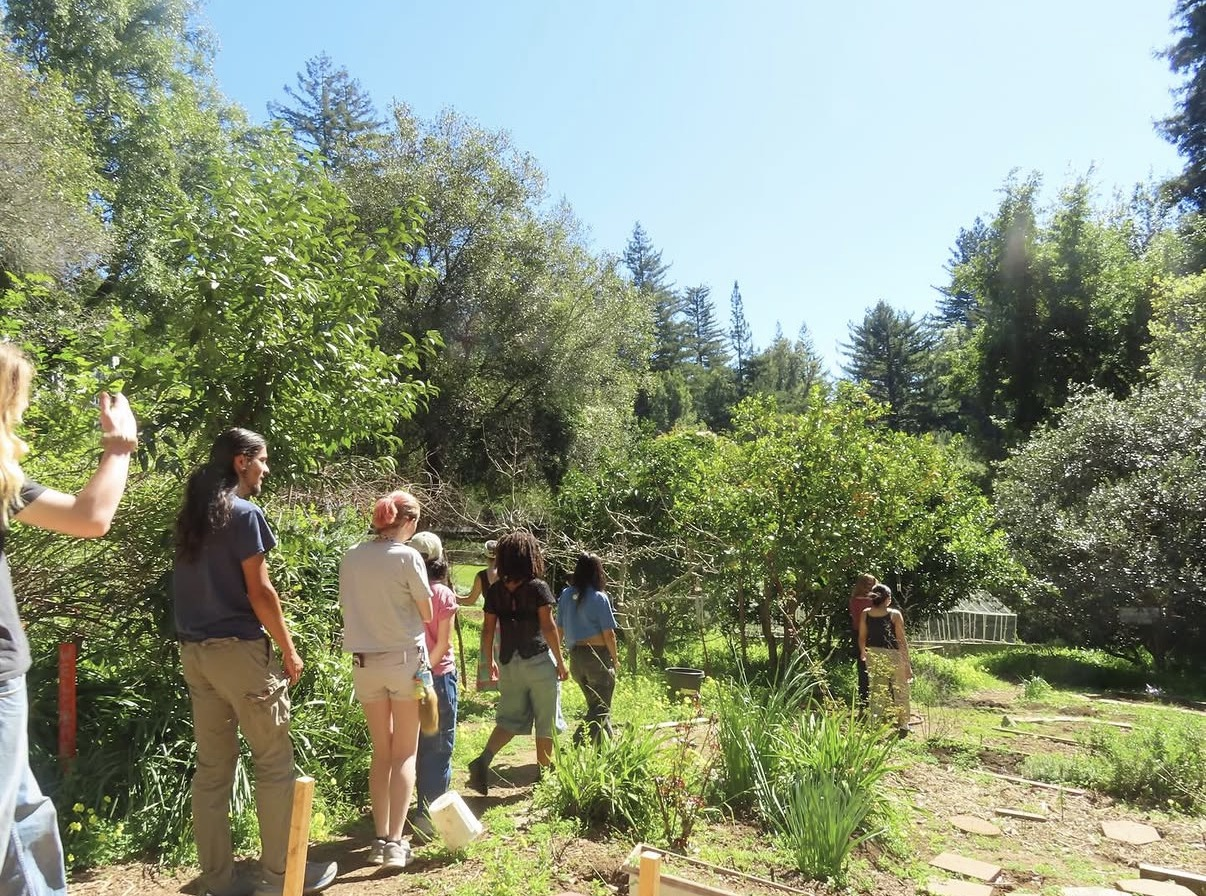 Group of people walking along a garden path surrounded by lush greenery and trees.