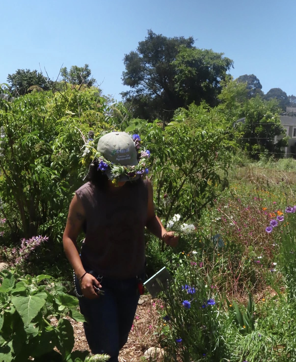 A person wearing a gray cap with a floral wreath around it, standing in a colorful garden with various plants and flowers, on a sunny day with a clear blue sky.