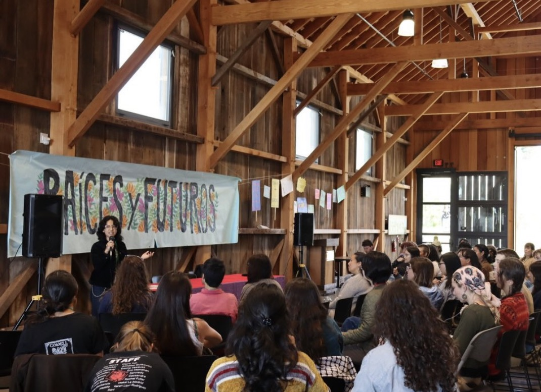 A woman speaks at a workshop or conference called 'PACESY FUTUROS' in a wooden hall with an audience listening attentively.