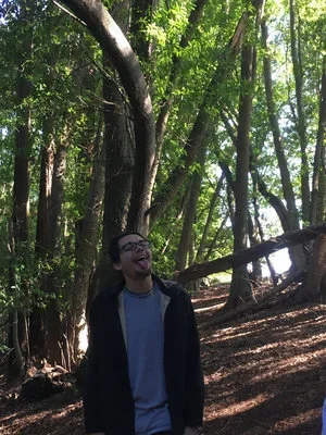 A person standing outdoors in a wooded area, smiling and looking up, surrounded by tall trees with green leaves.