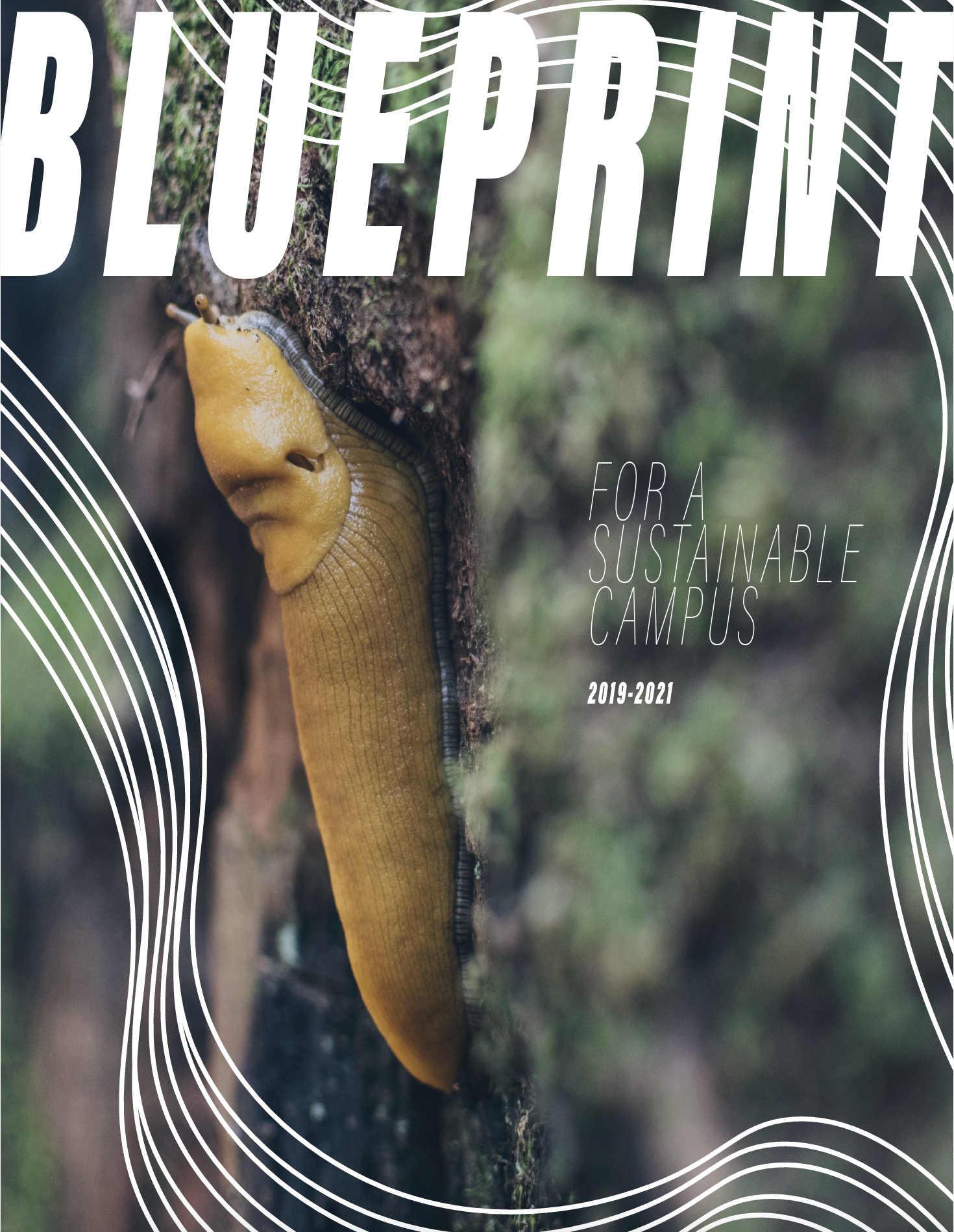 A yellow slug crawling on a tree trunk with a snail's shell on its back, surrounded by green foliage.