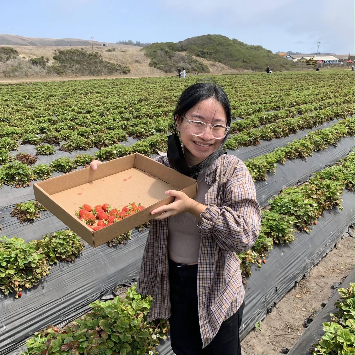 A woman smiling and holding a cardboard tray filled with freshly picked strawberries in a strawberry farm with green leaves and rows of strawberry plants.