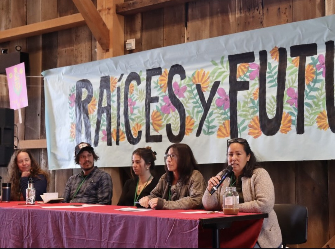 A panel of five people seated at a long table with a pink tablecloth, speaking or listening during an event. Behind them is a large banner that reads 'RACHEL'S SYFU' with colorful floral decorations.