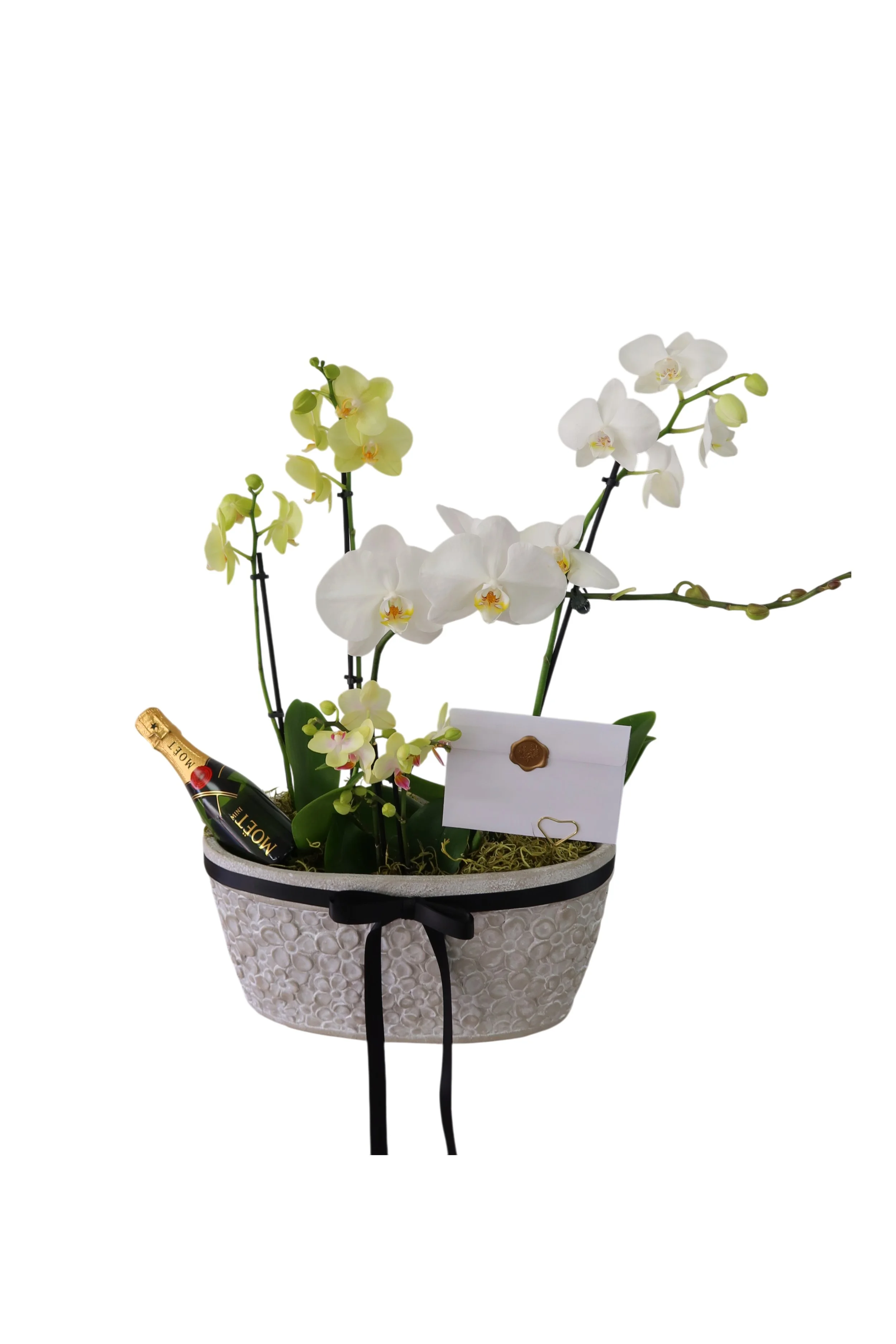 Orchid & Champagne Elegance