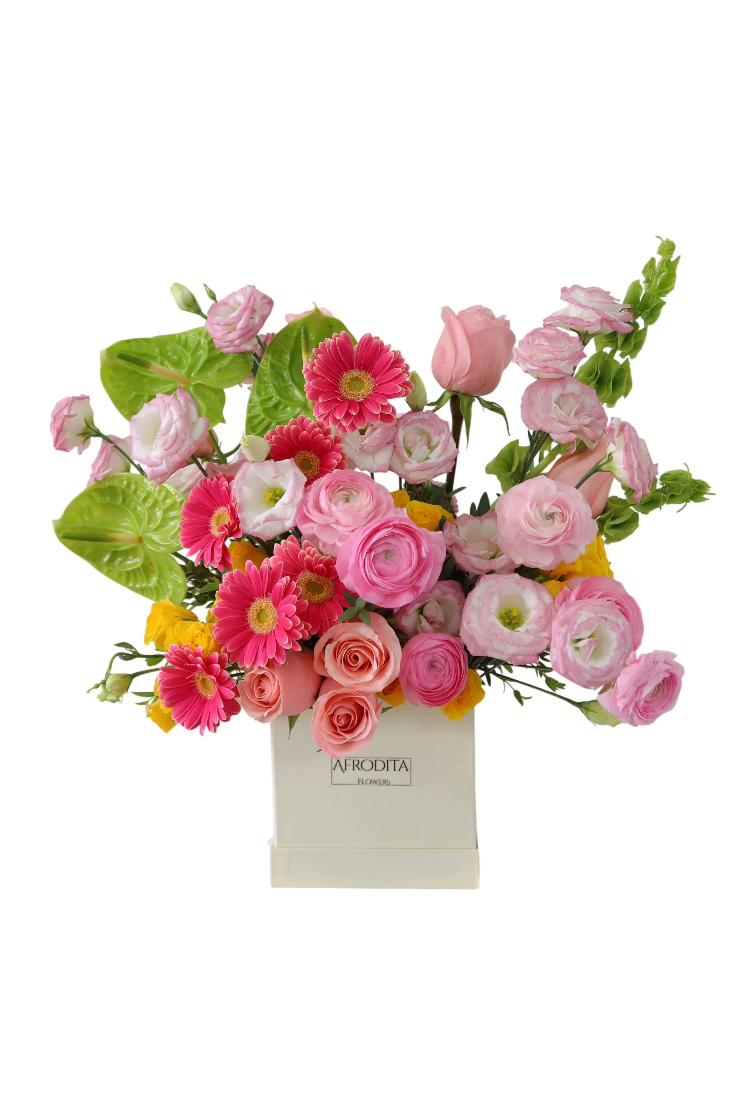 Garden of Dreams Box