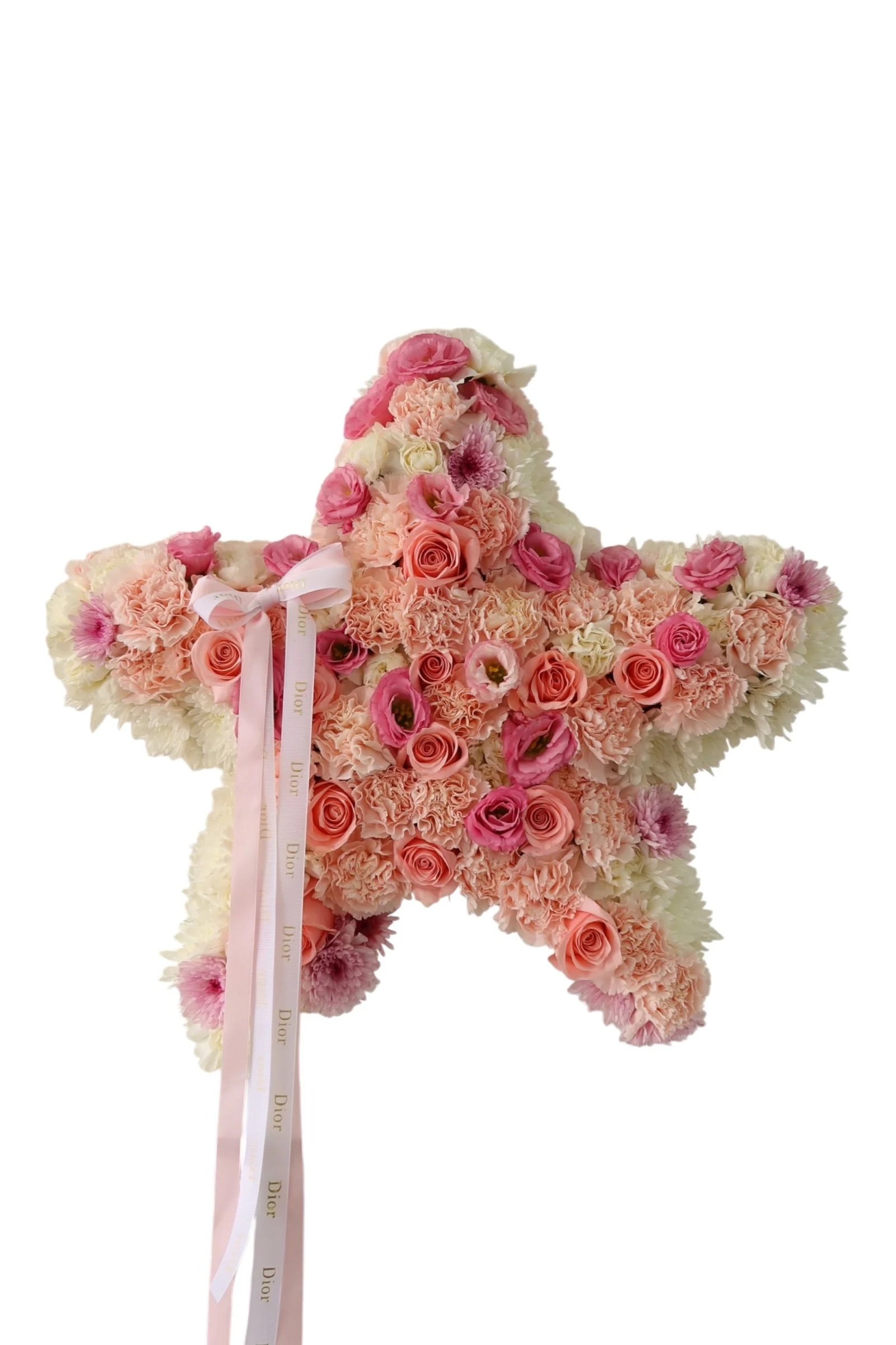Blush Star ✨