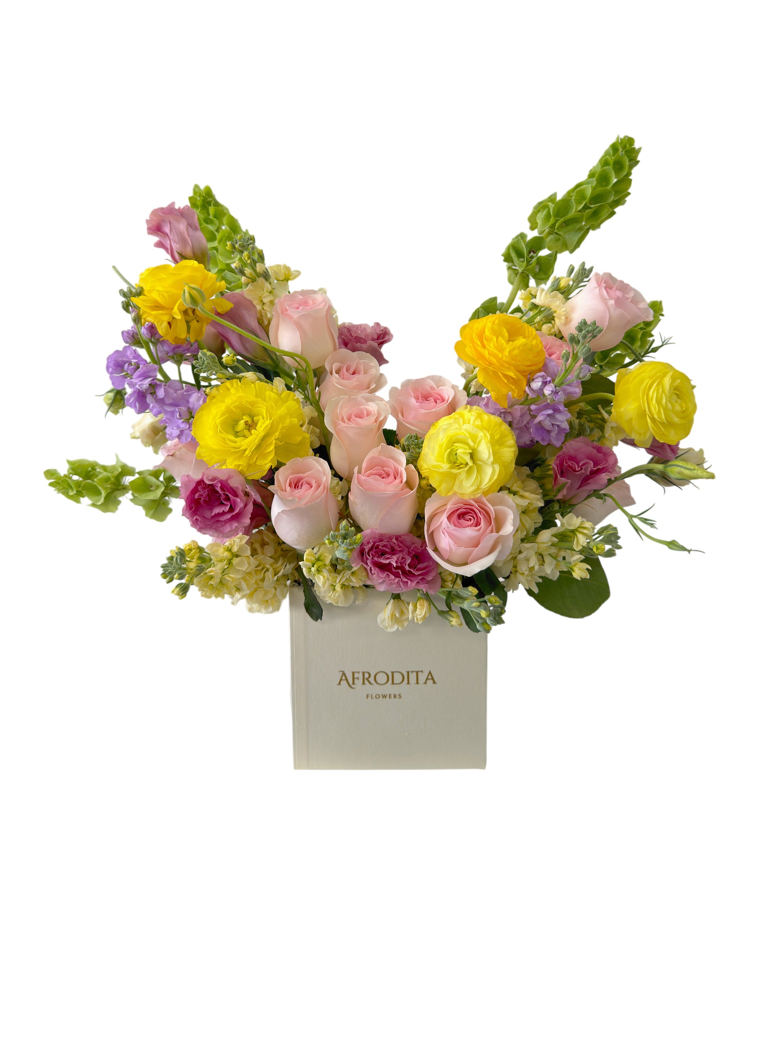 Aura Primaveral 🌼