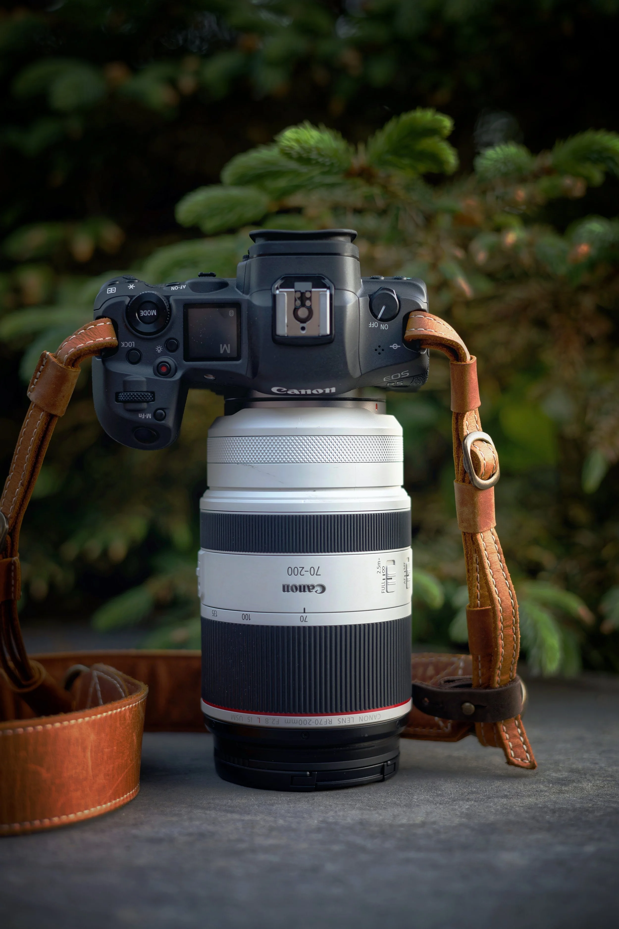 Canon RF 70-200 mm f/2.8 L IS USM – Meine persönliche Erfahrung