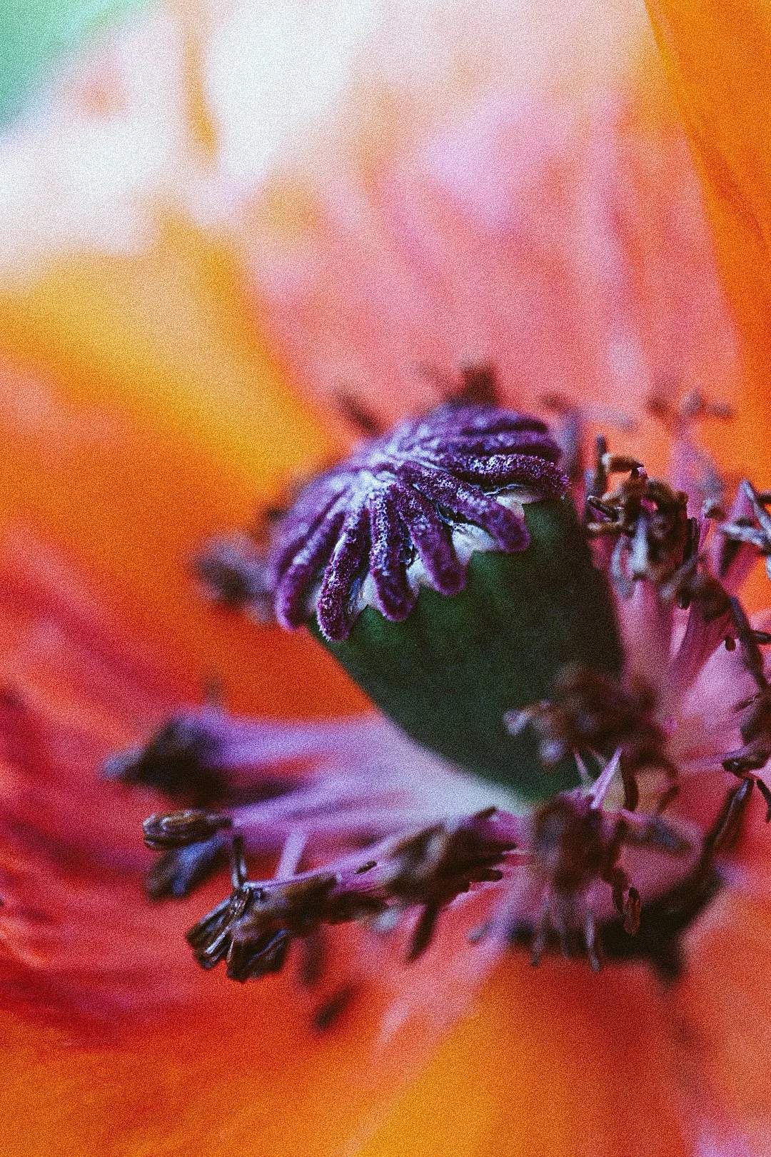 Presets-1230.JPG