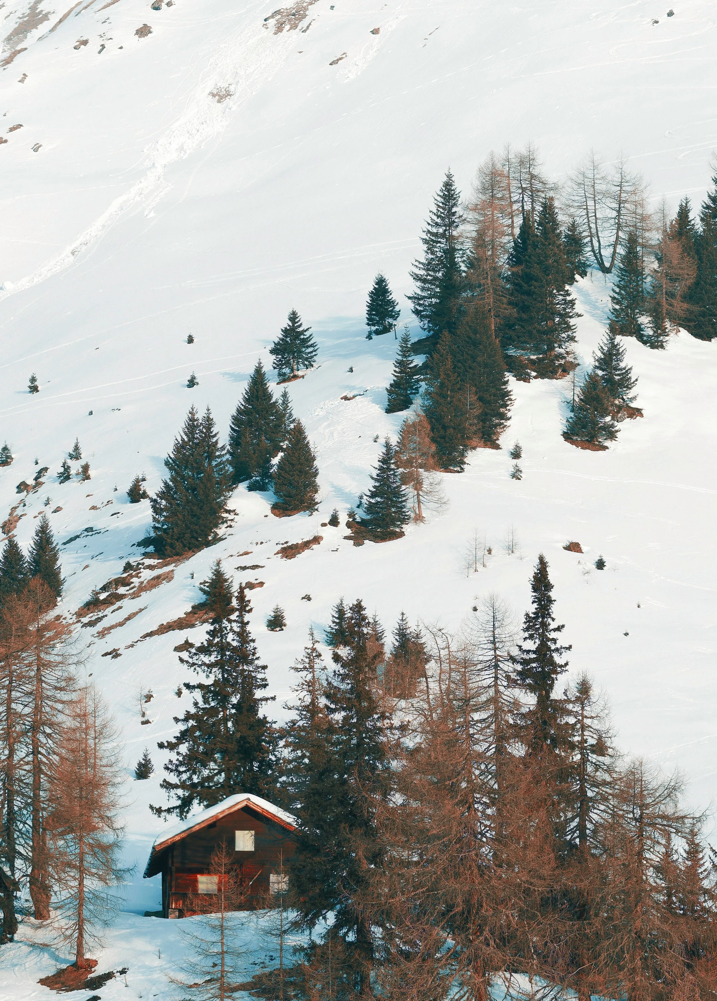 20 Ideen für Winter- und Weihnachtsfotografie / Links 