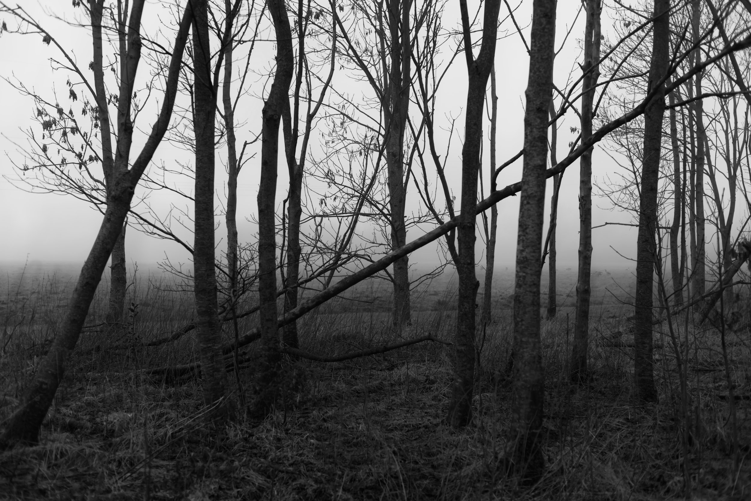 Fotowettbewerbe als mögliche Bühne für eingereichte Arbeiten.