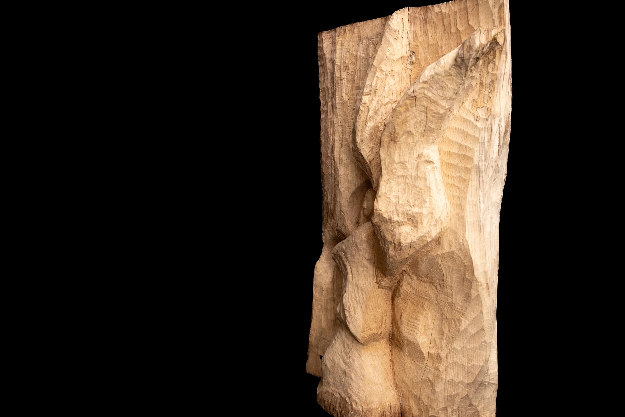 Back view of Angel’s wings - sculpted by David Puustinen Australia