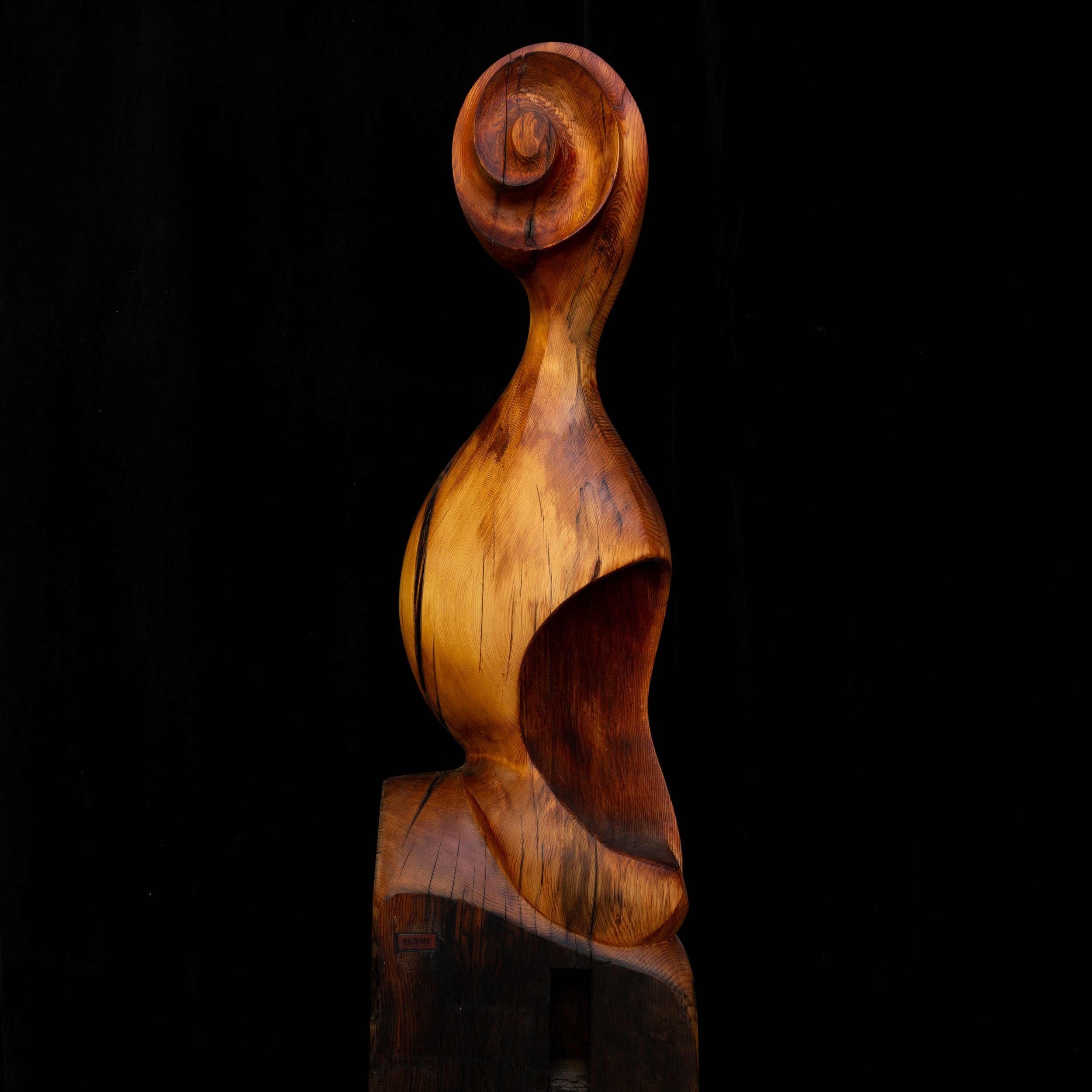 Sound Shell is a unique carving, carved from Tasmanian Celery Top Pine.
