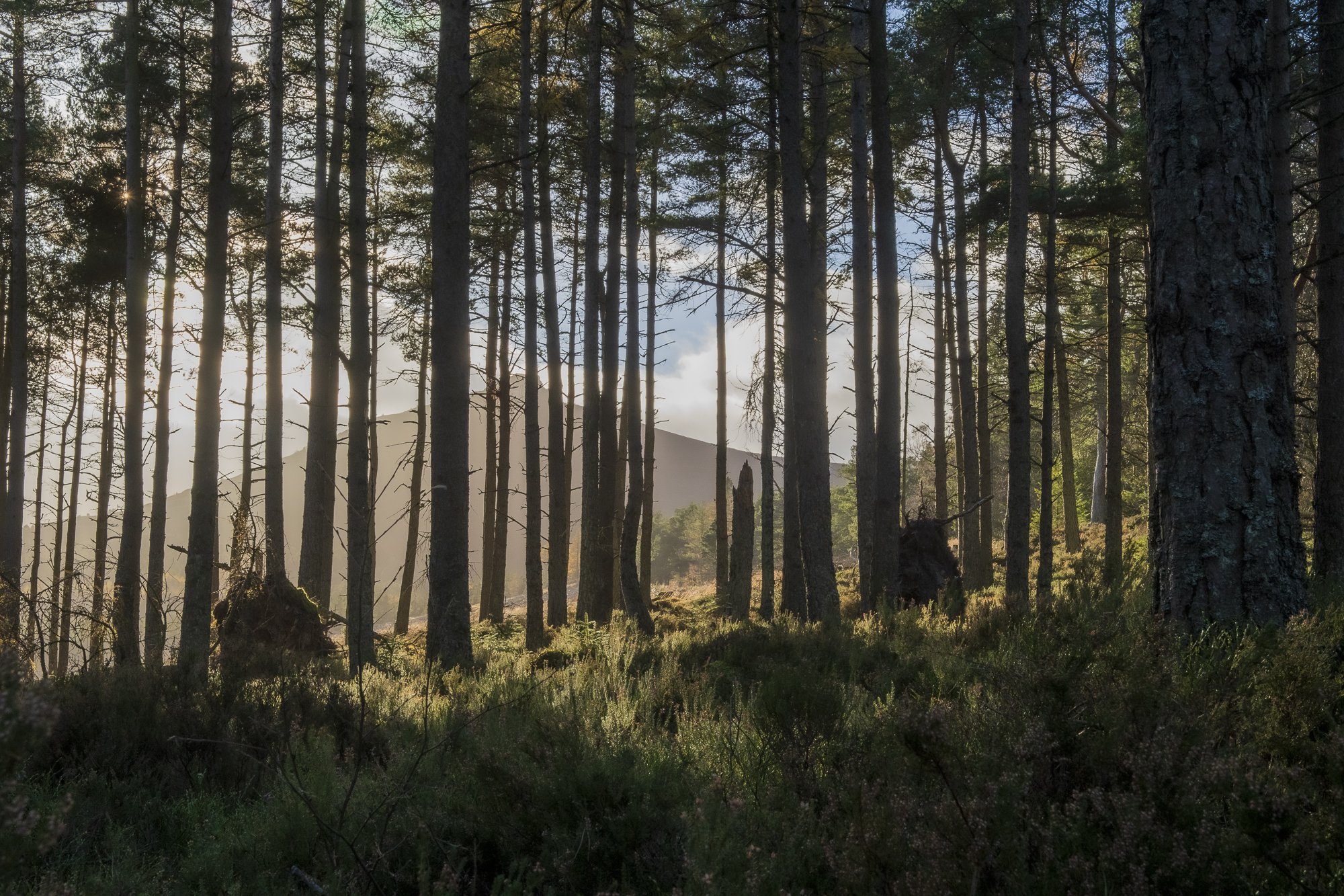 Russel Craig-9.jpg