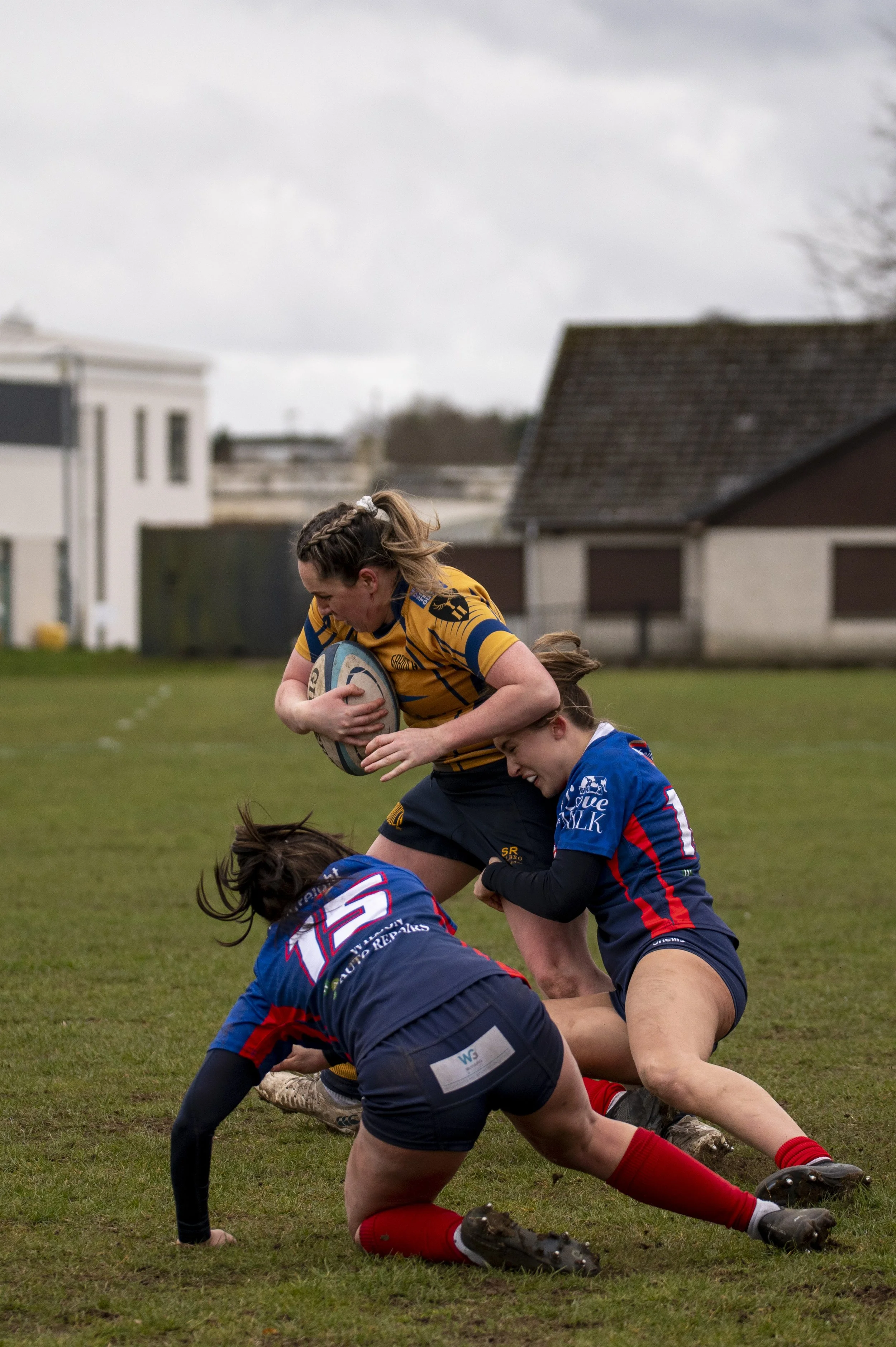 _DSC8032.jpg