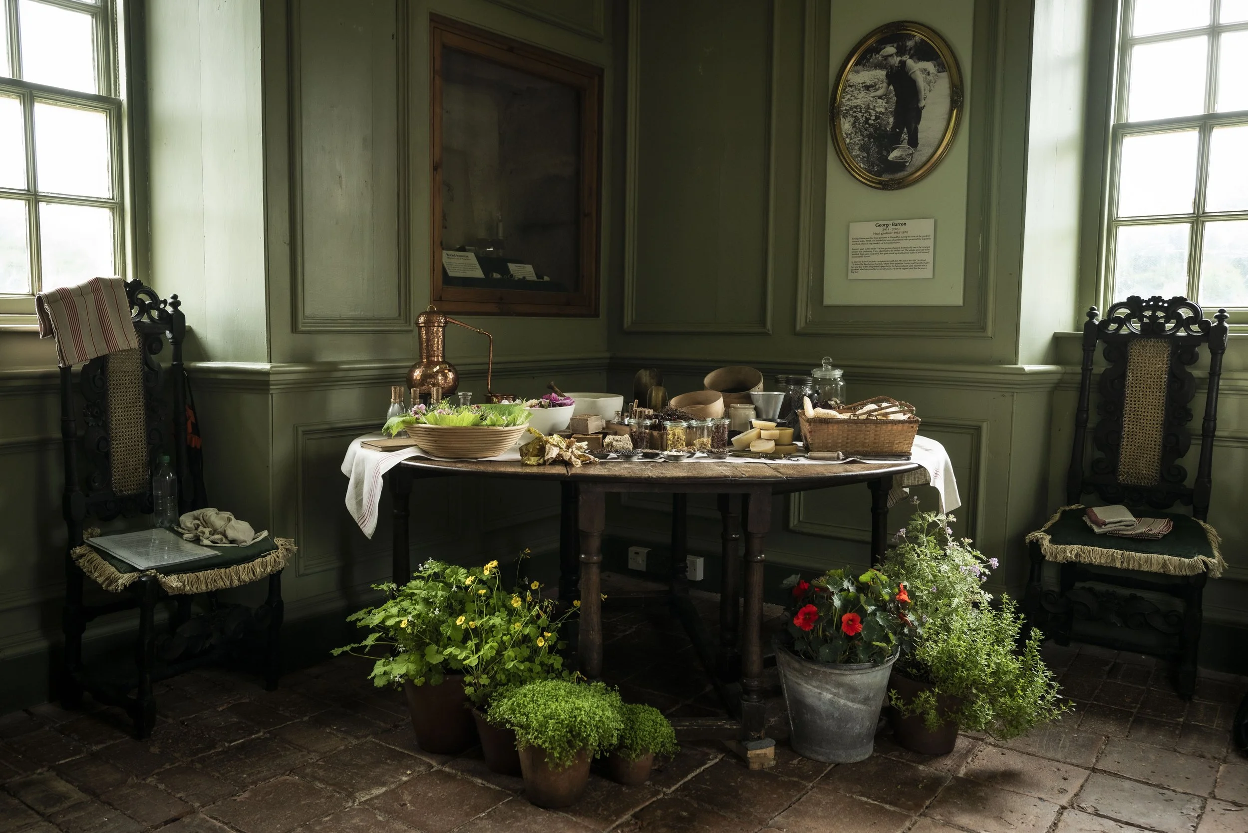 P Gardens Herbs-3.jpg