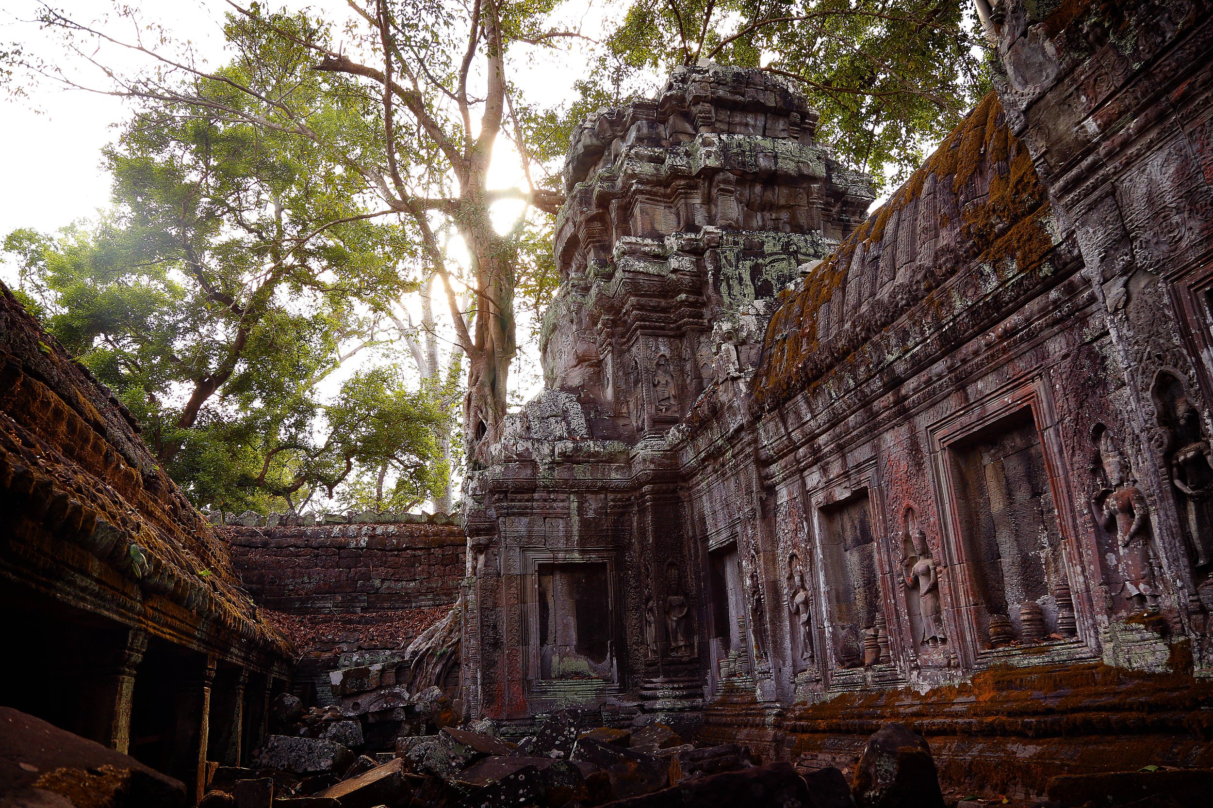 Angkor Ta Prohm - Limité et numéroté