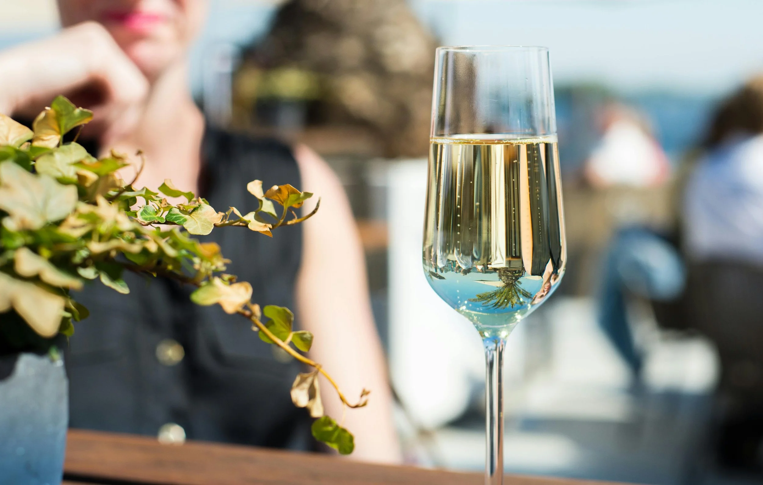 A Warning for Regional Wine and Food Businesses: Be Careful with Champagne-Inspired Branding