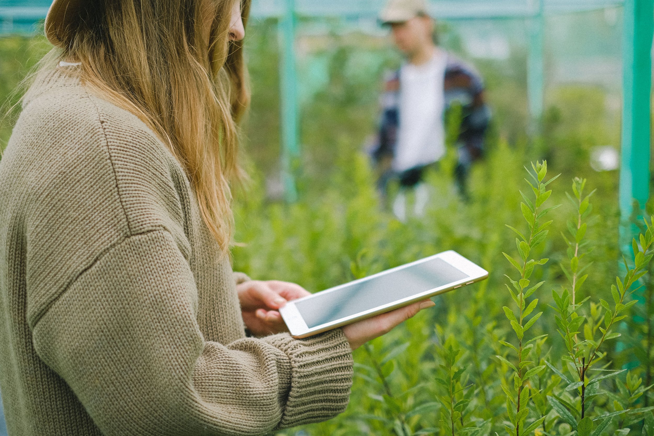 Agtech software: what can be protected if the product is code, data or an app?