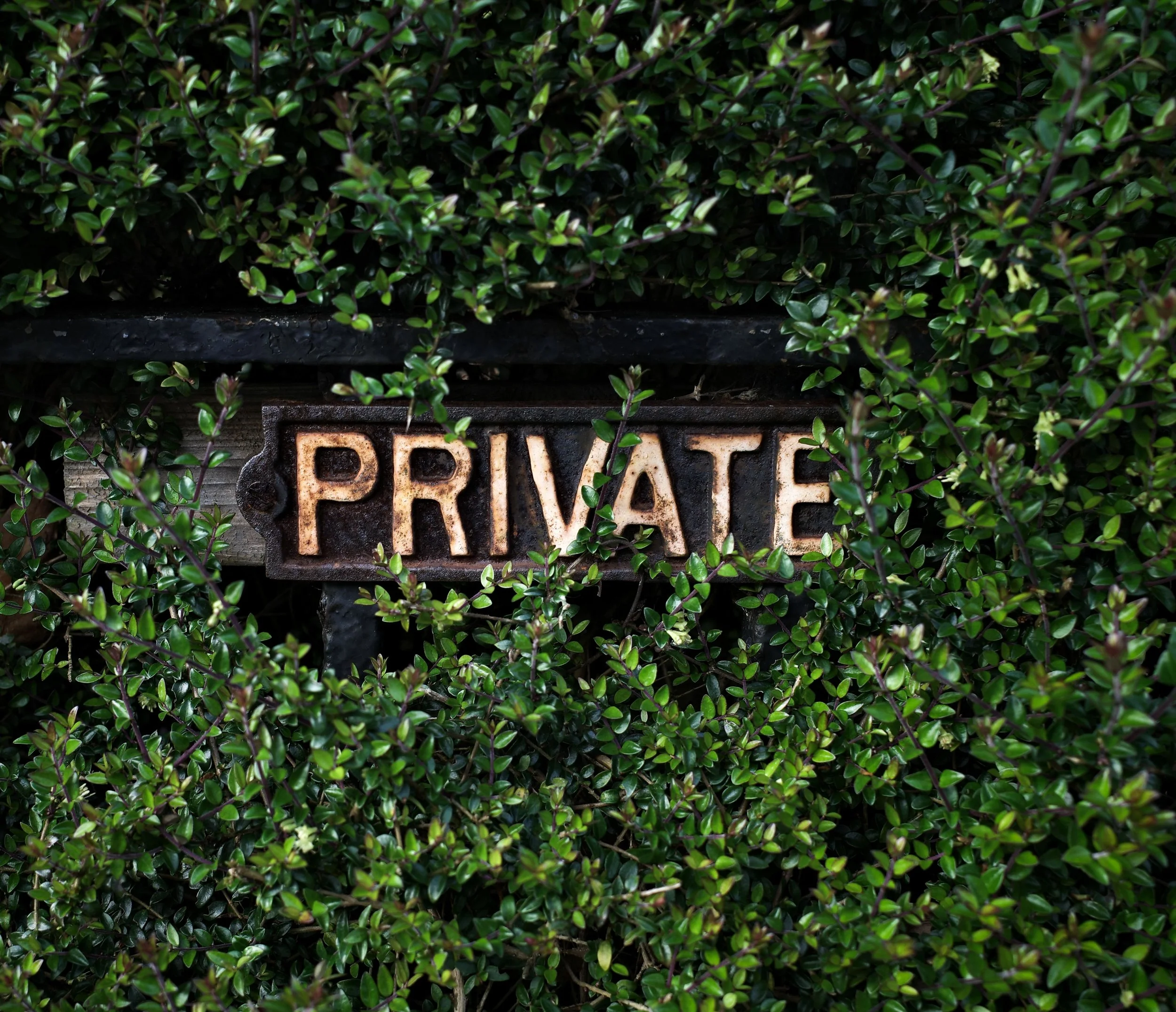 Trade secrets on the farm: what should you keep confidential instead of patenting?