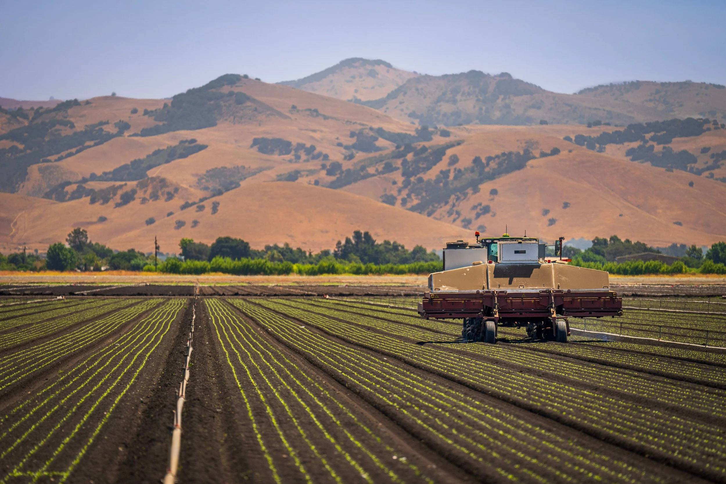 What SwarmFarm’s Henty win tells us about protecting agtech