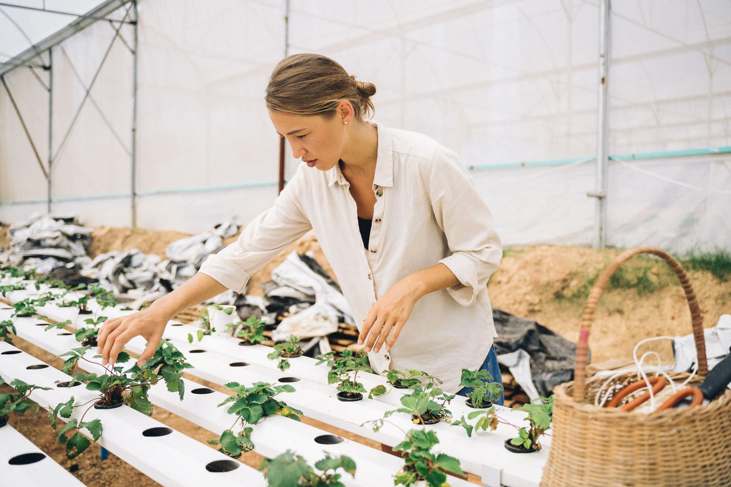 Faster Farm Product Approvals Mean IP Plans Need to Move Faster Too