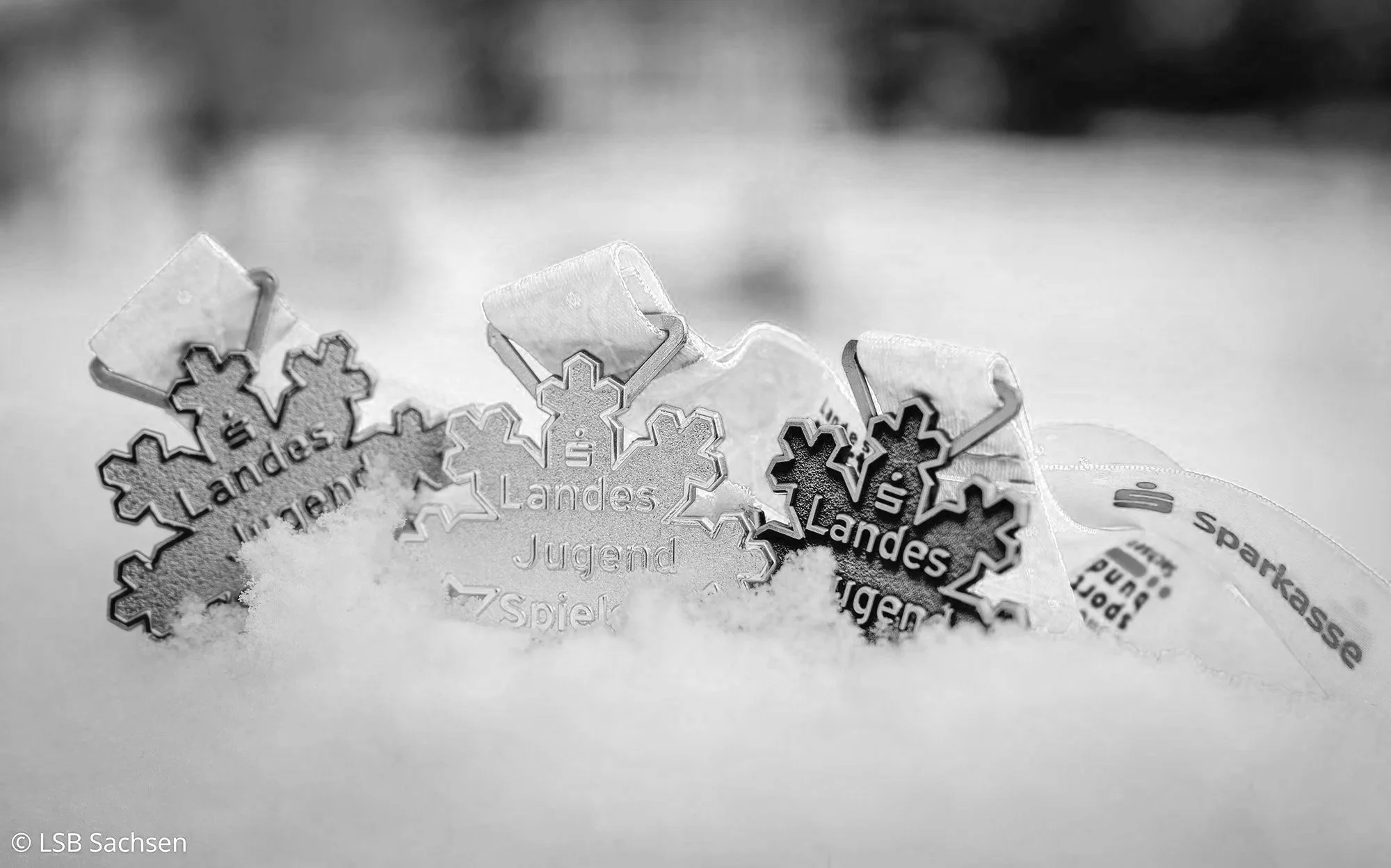 Landesjugendspiele in Altenberg