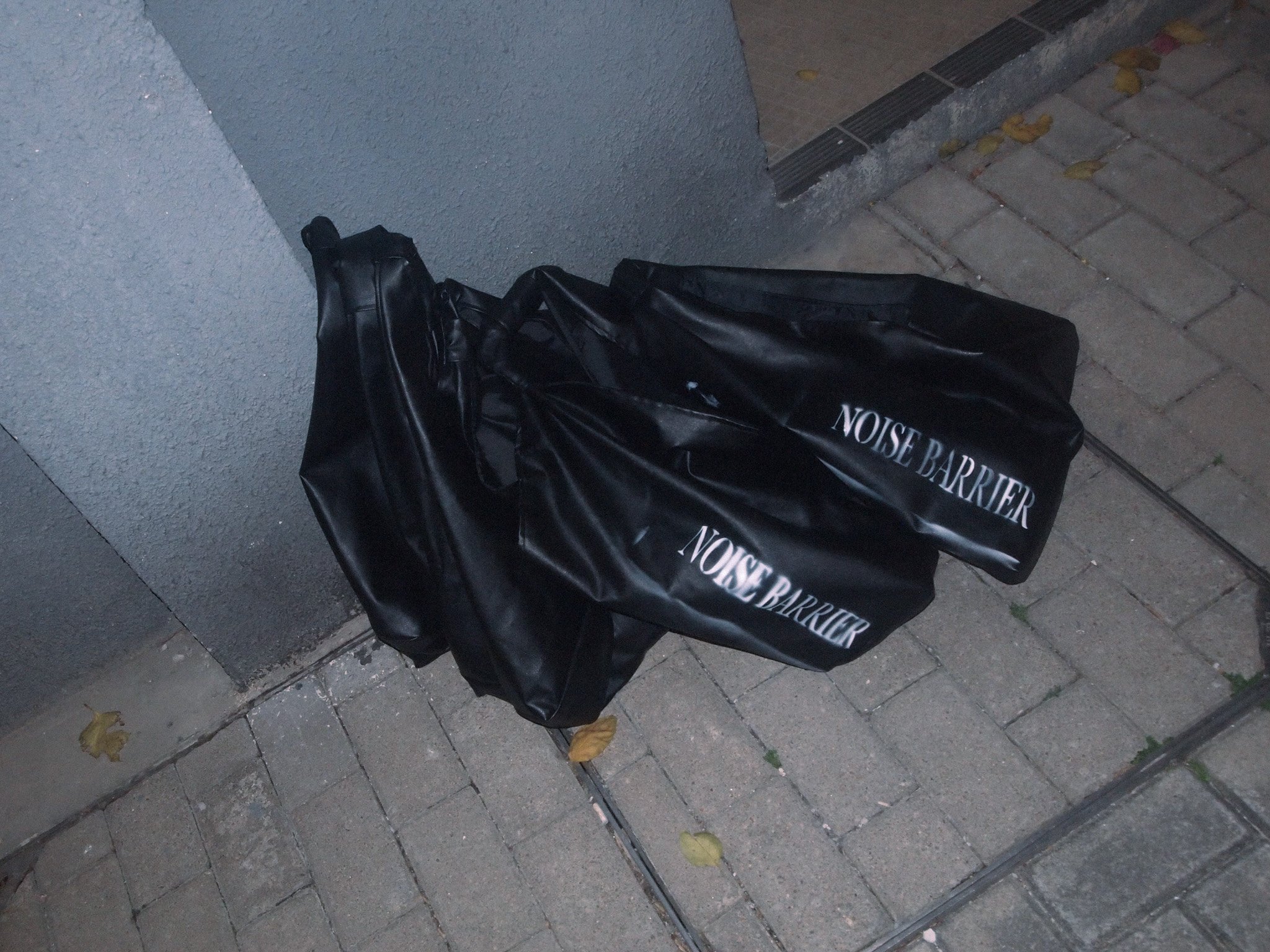 P1011063.jpg
