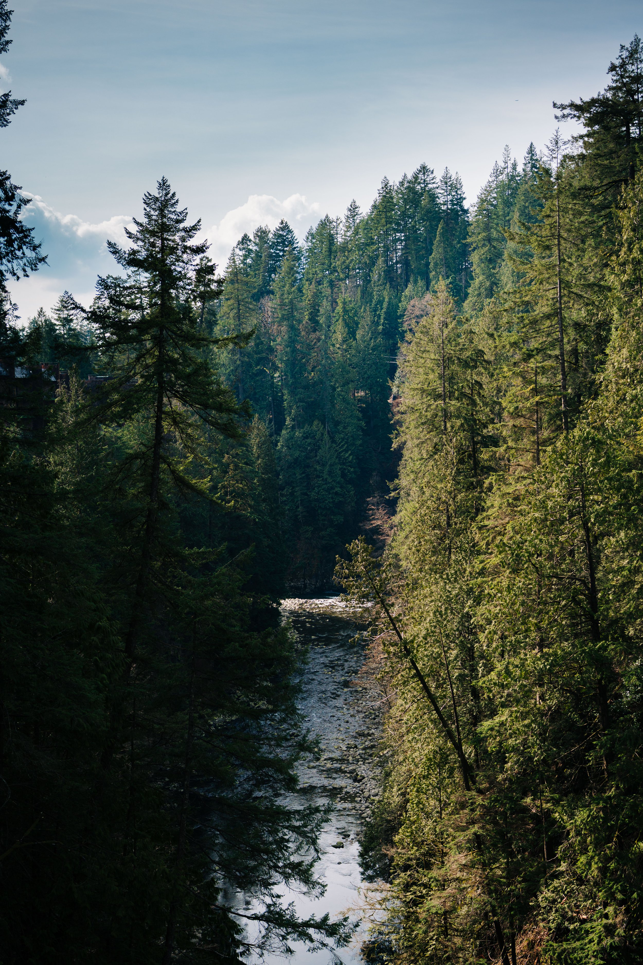 DSC01705-2.jpg
