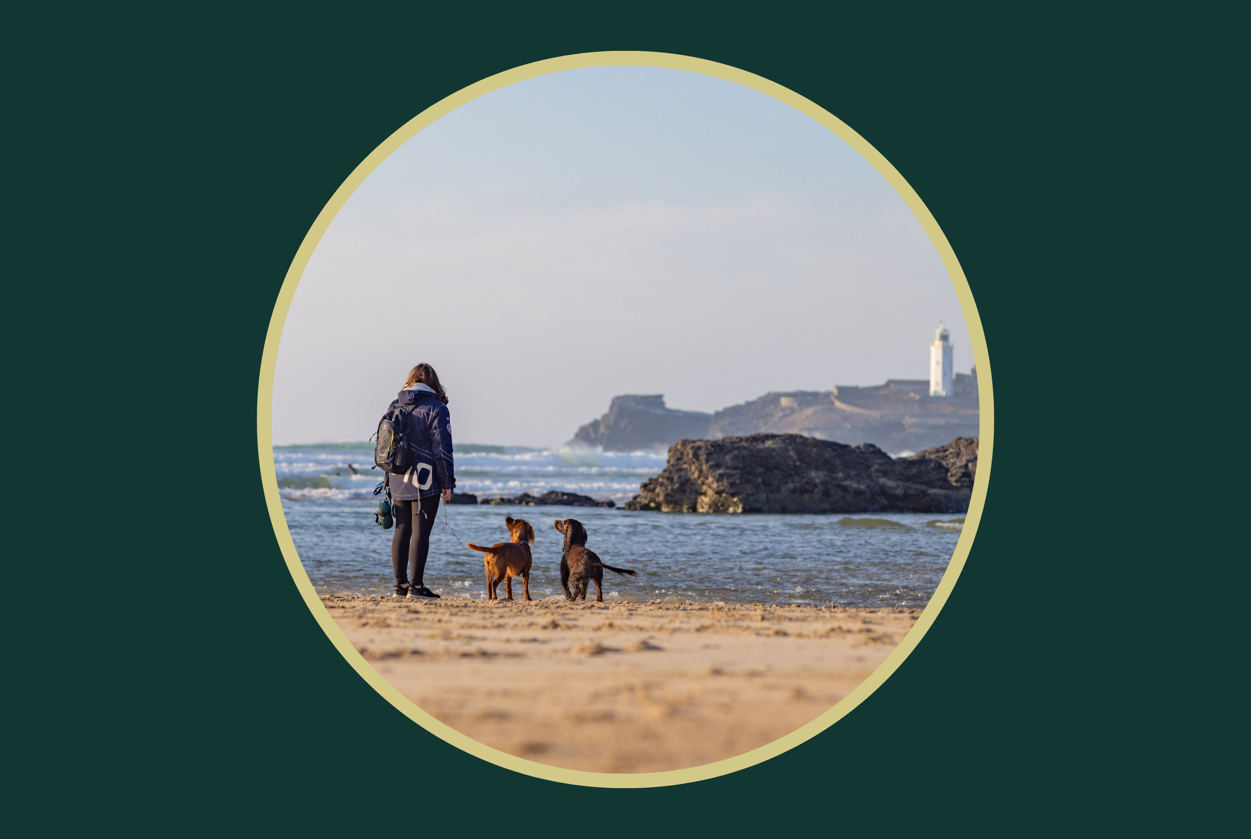 Pause 4 - Why you can trust 4 Peaceful Paws