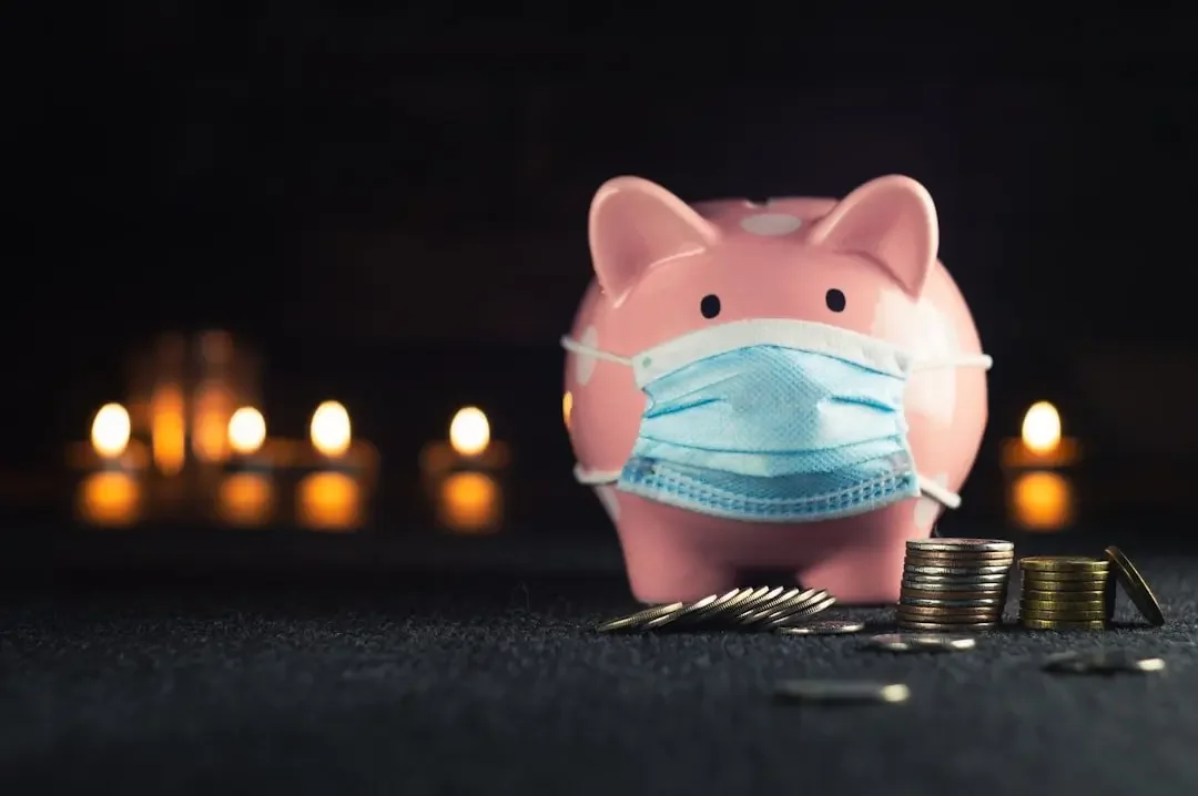 A masked pink piggy bank with stacks of coins, representing her pandemic‑era shift from accounting to separation anxiety work.