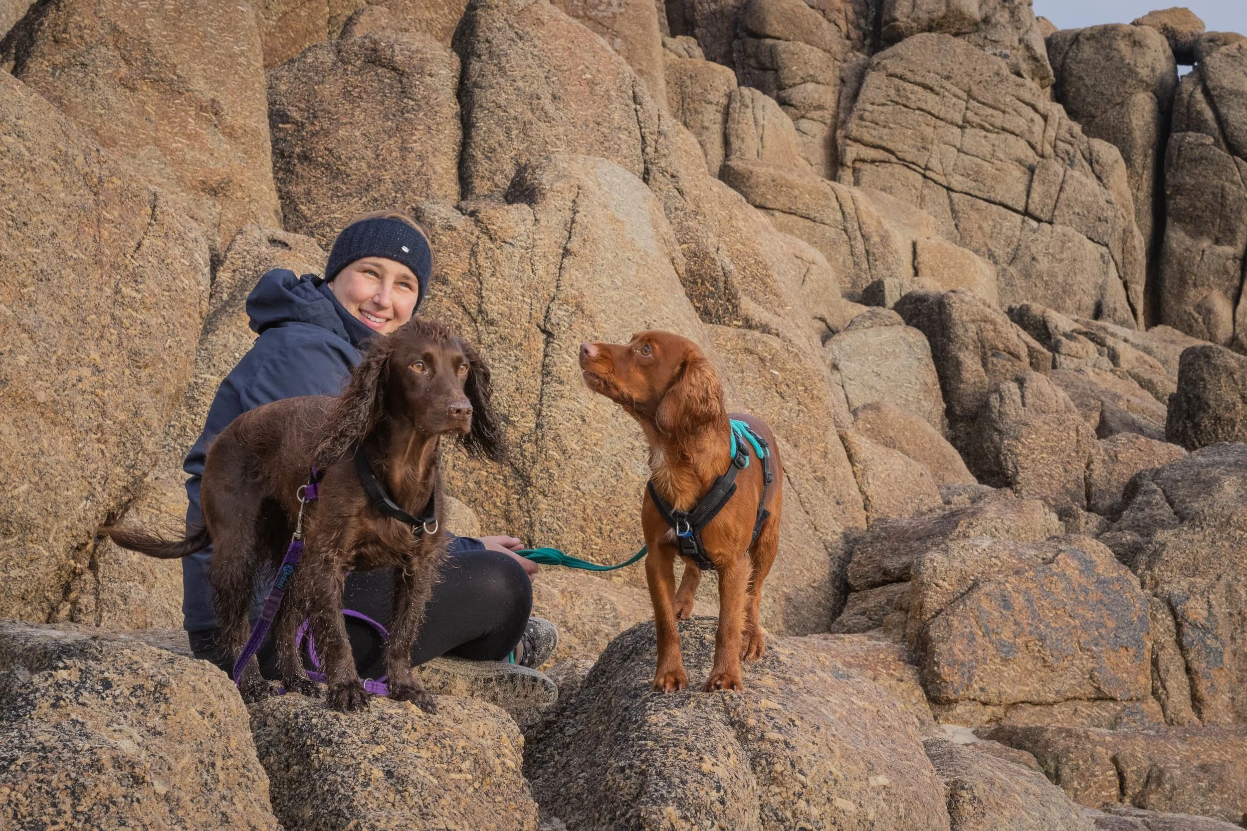 Kim sits on rocks with two spaniels, on chocolate brown and one golden/red coloured. The re dog is staring up to her.