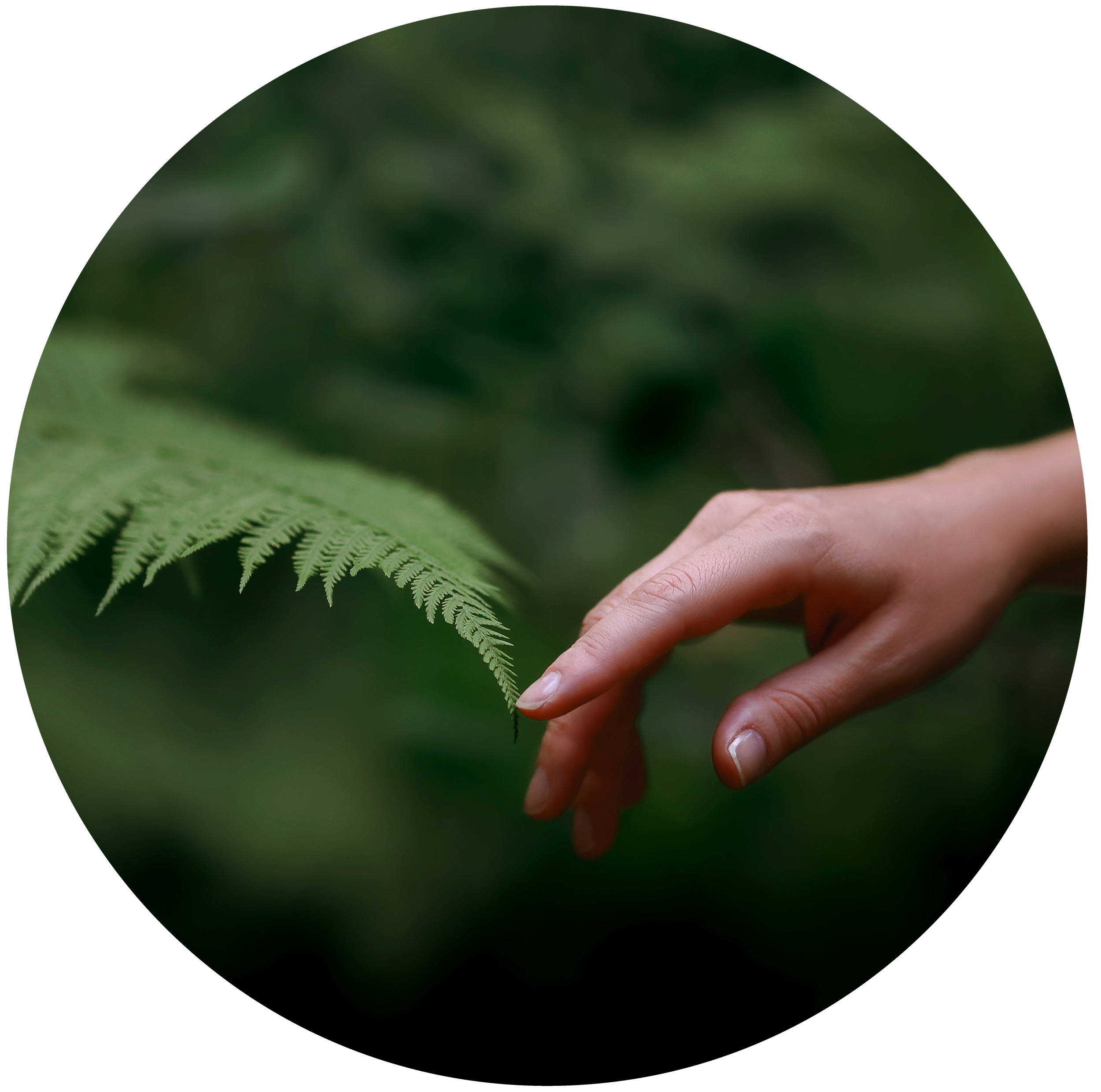 Peaceful nature scene representing the safe and supportive space of integrative therapy for women