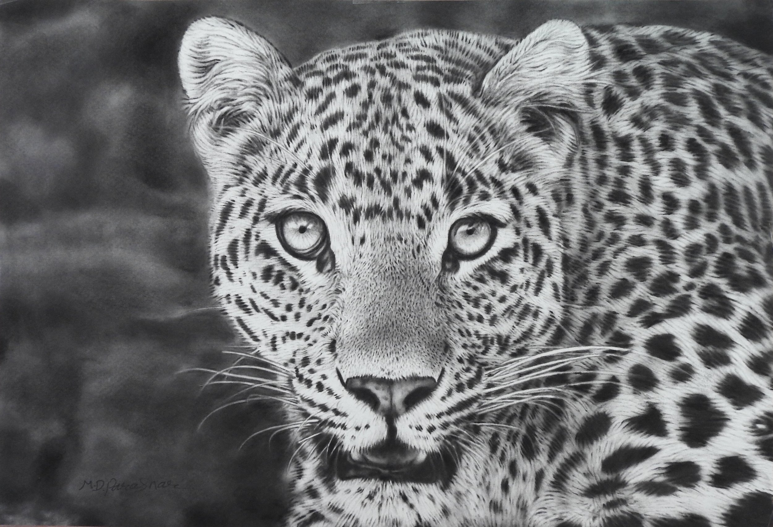 15 June 2025 (1).JPG