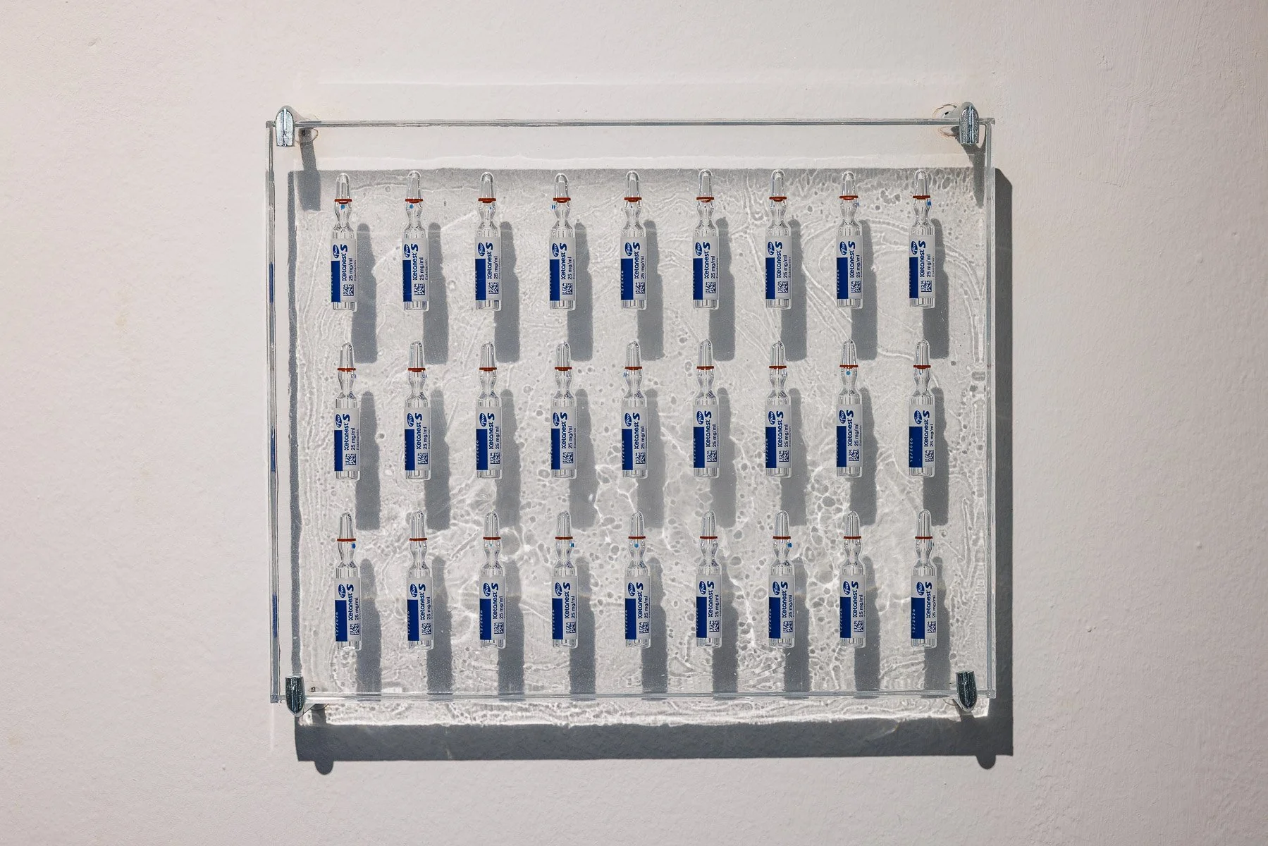 Laura Stoll: A Contemplation on Consciousness