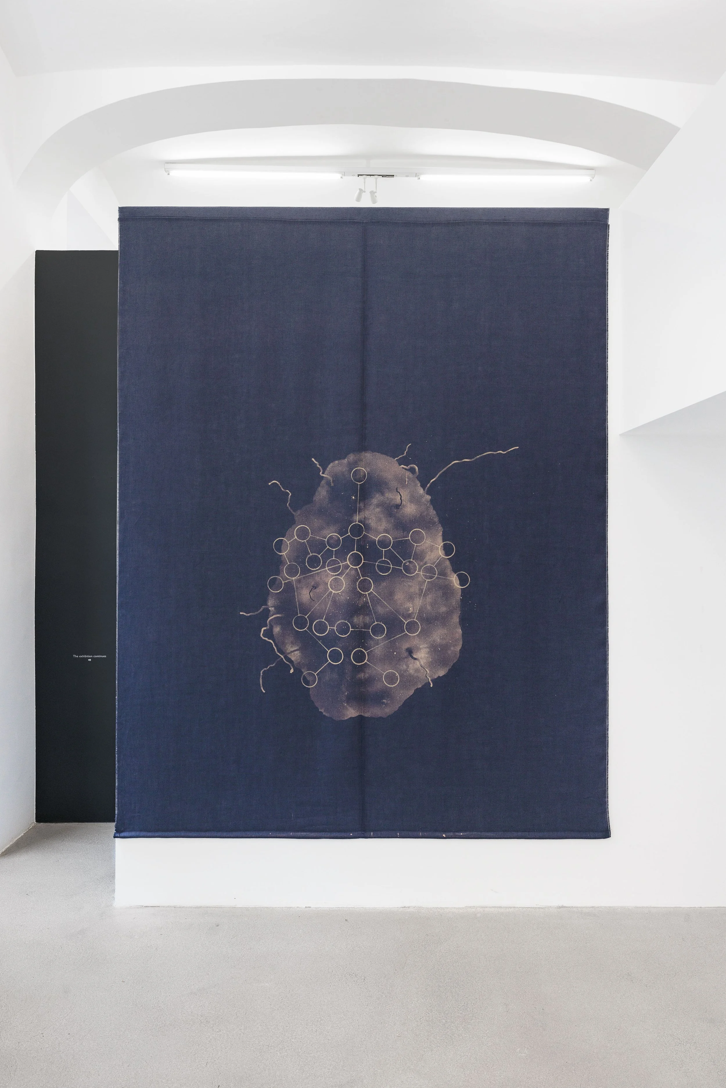 A bureau for experiments?