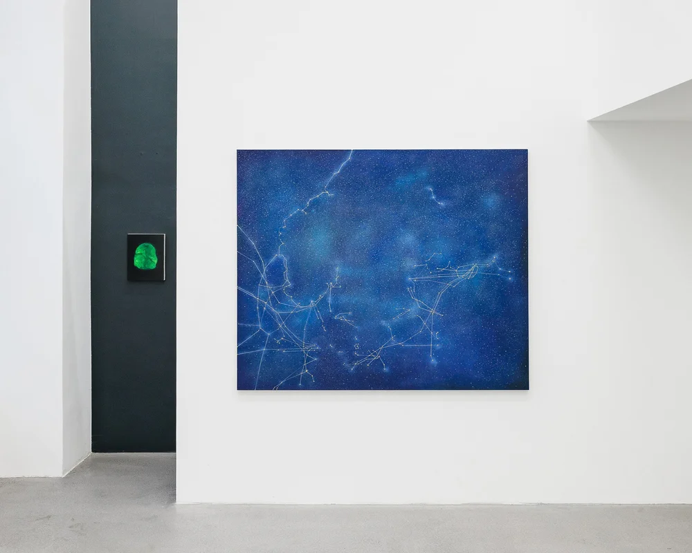 Tan Mu: Signal, installation view at BEK Forum