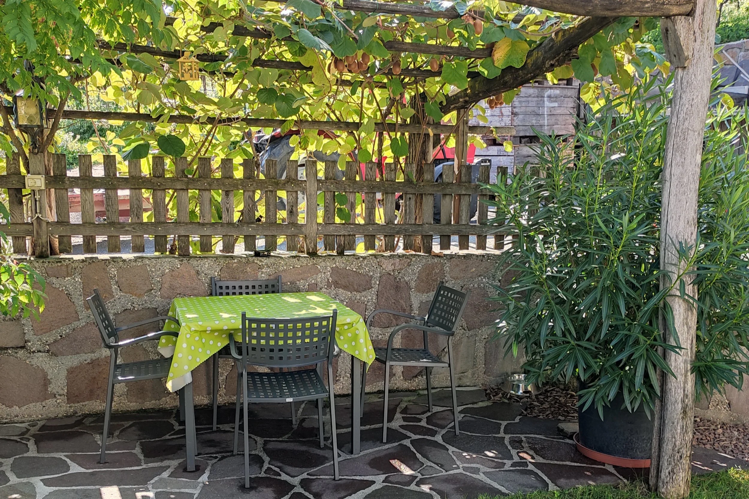 garten.jpg