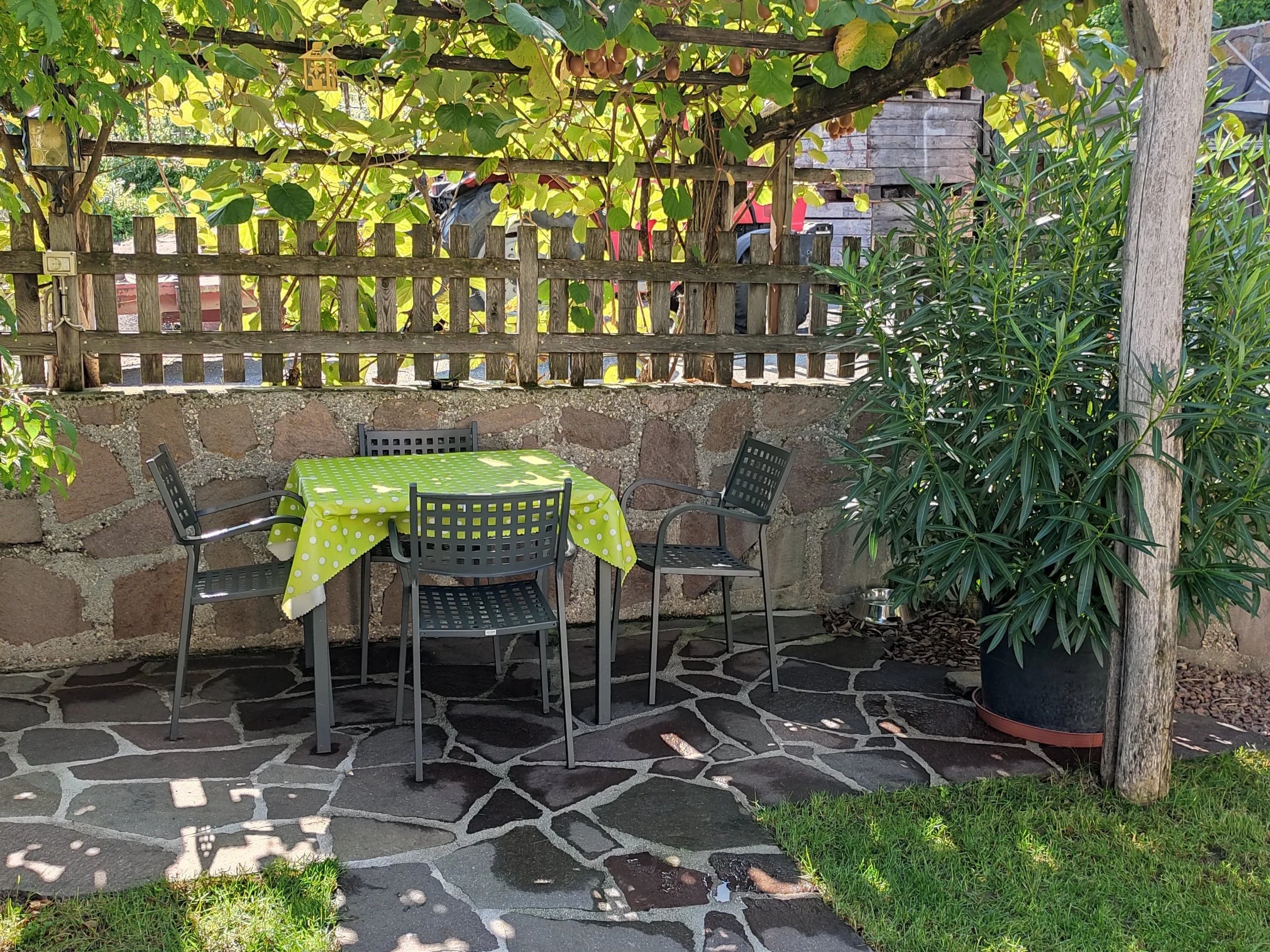 garten.jpg