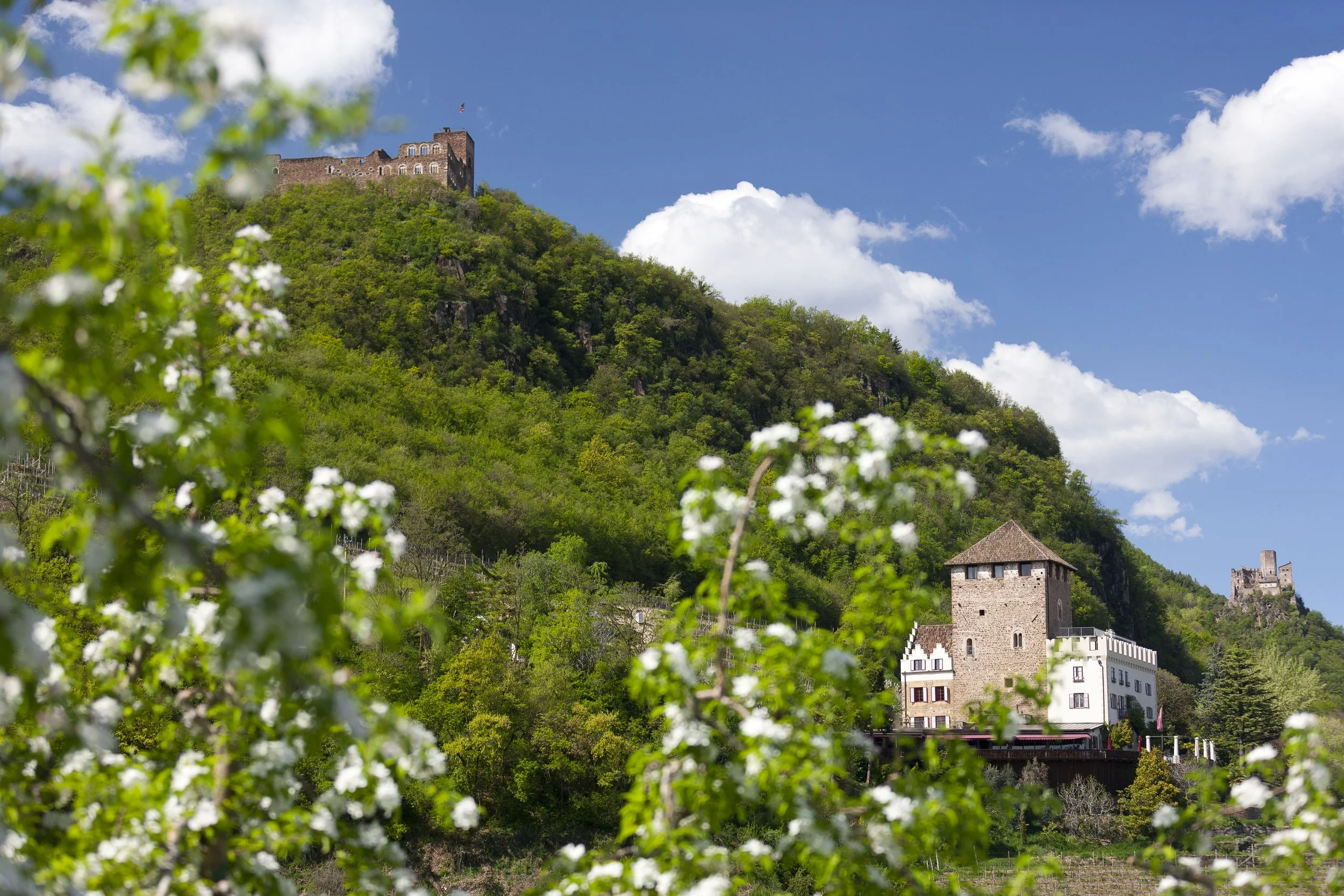 Bild054.jpg