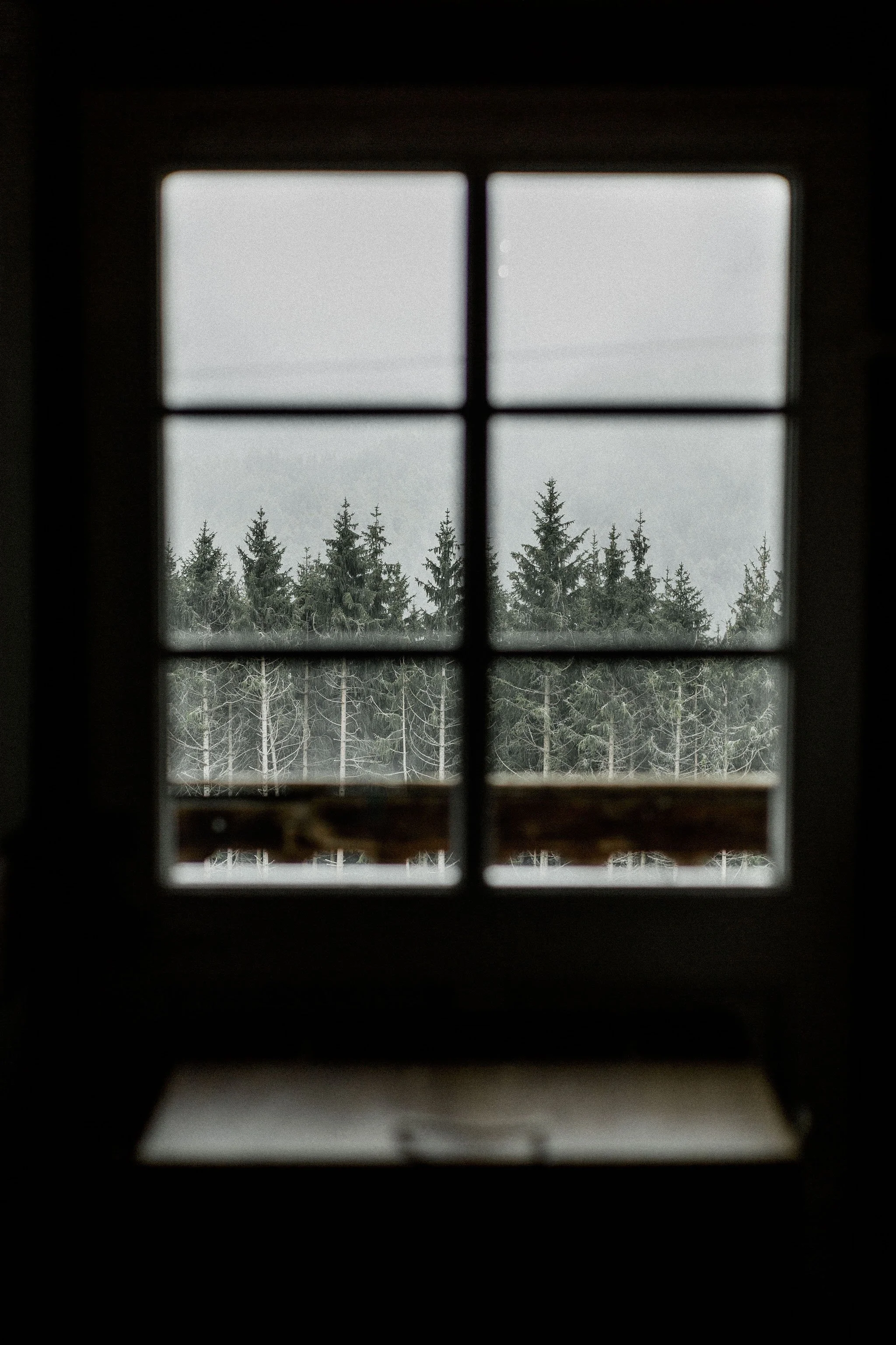 photographie-Mael-Lambla-Wedding-Switzerland-Zurich-Flumseberg16.jpg