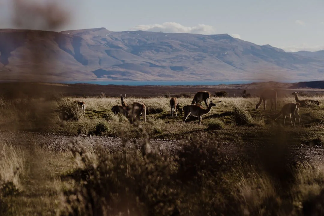 Mael Lambla Patagonia--39.jpg